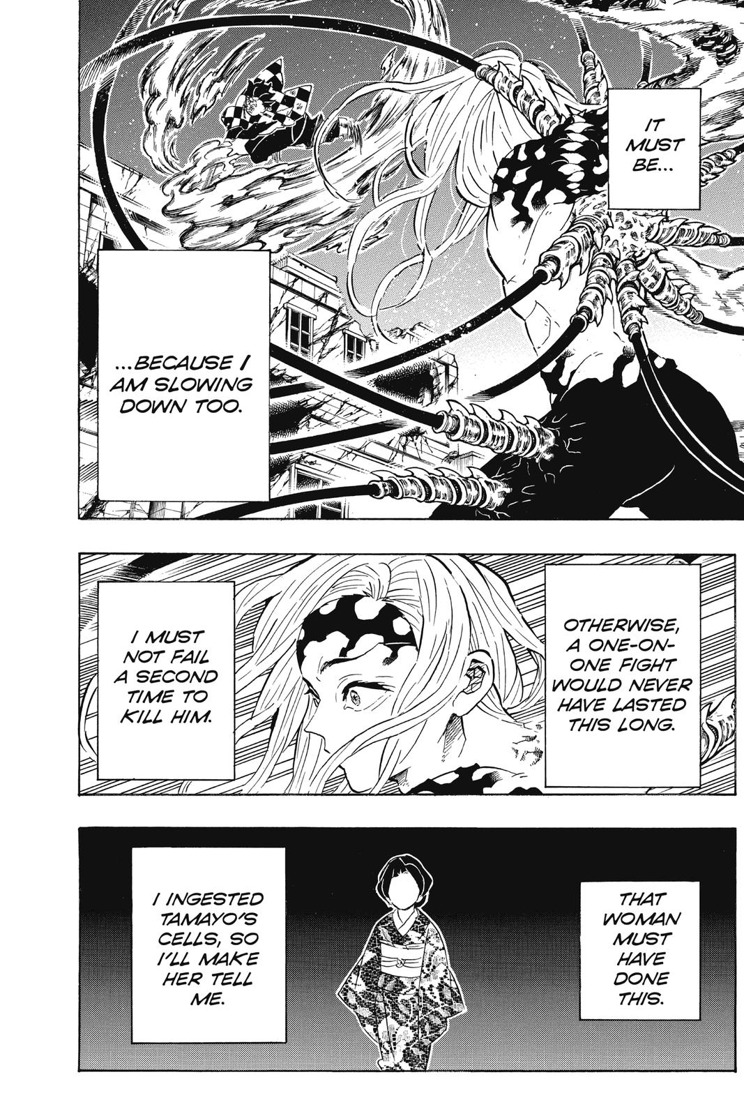 Demon Slayer: Kimetsu no Yaiba Chapter 193 - Page 13