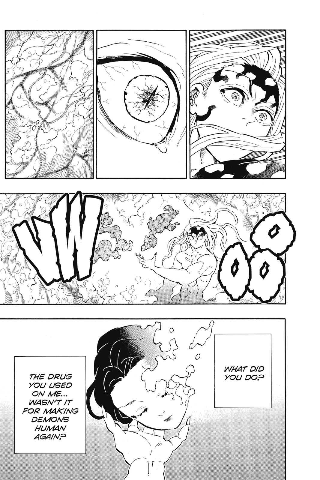 Demon Slayer: Kimetsu no Yaiba Chapter 193 - Page 14