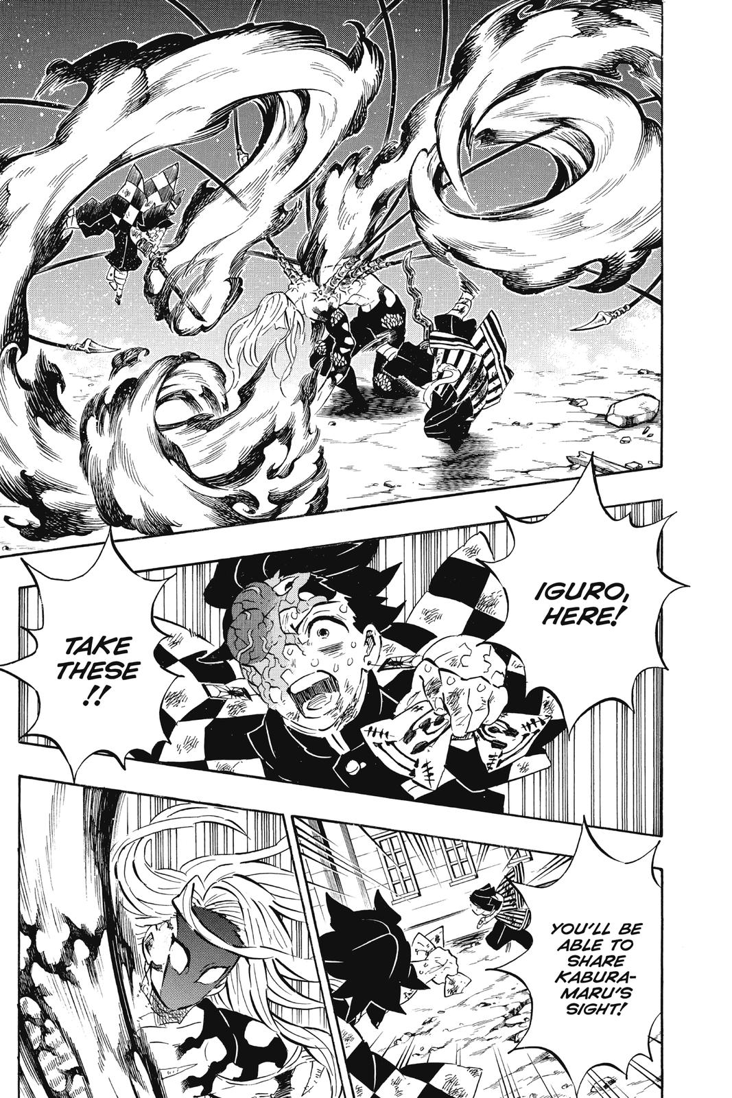 Demon Slayer: Kimetsu no Yaiba Chapter 195 - Page 13