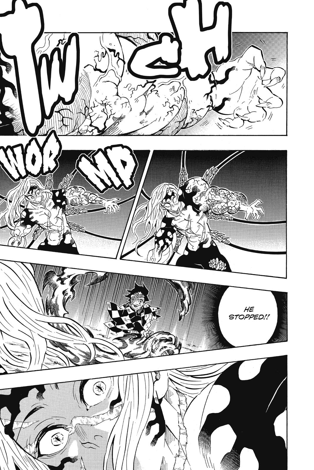 Demon Slayer: Kimetsu no Yaiba Chapter 196 - Page 17