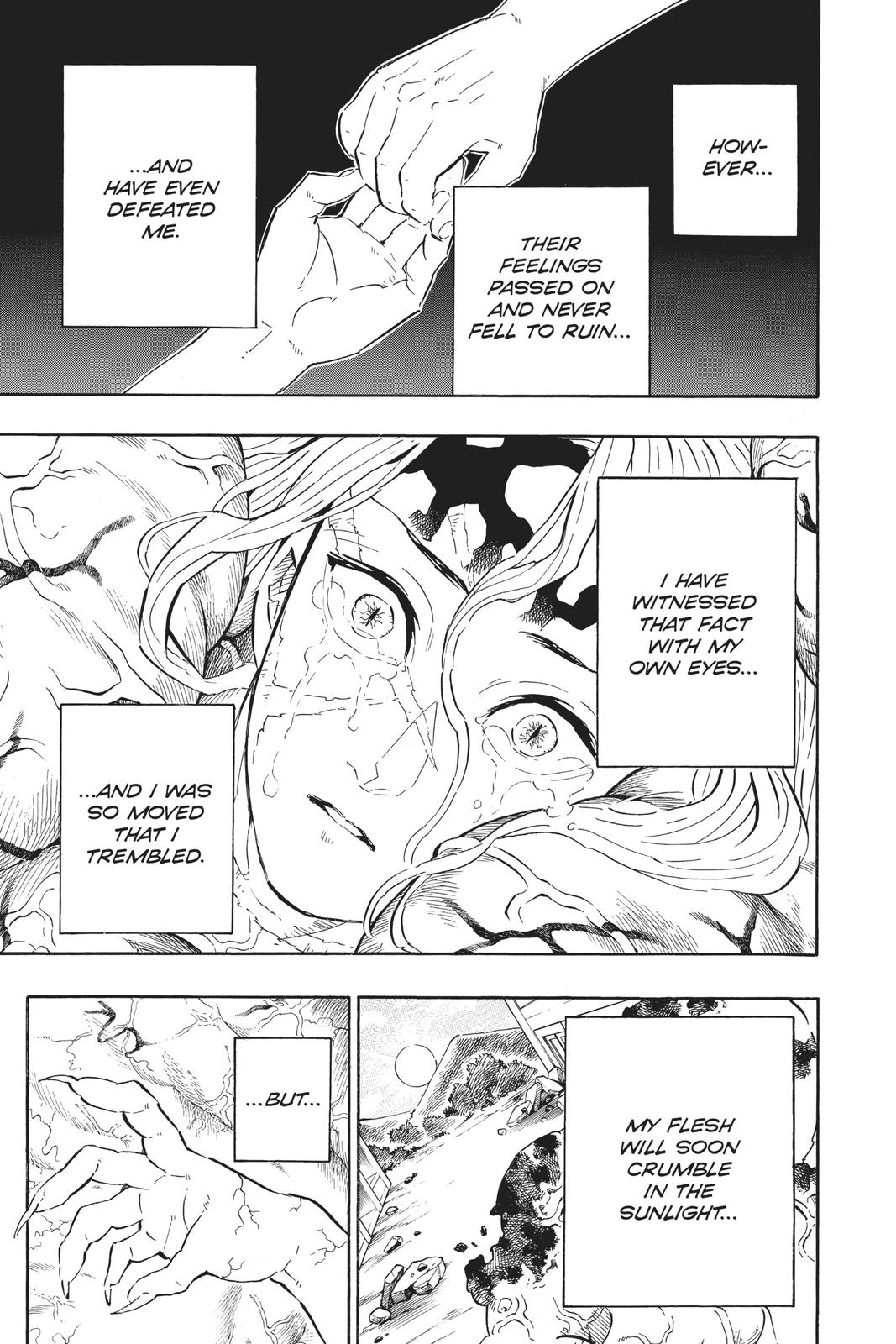 Demon Slayer: Kimetsu no Yaiba Chapter 201 - Page 3