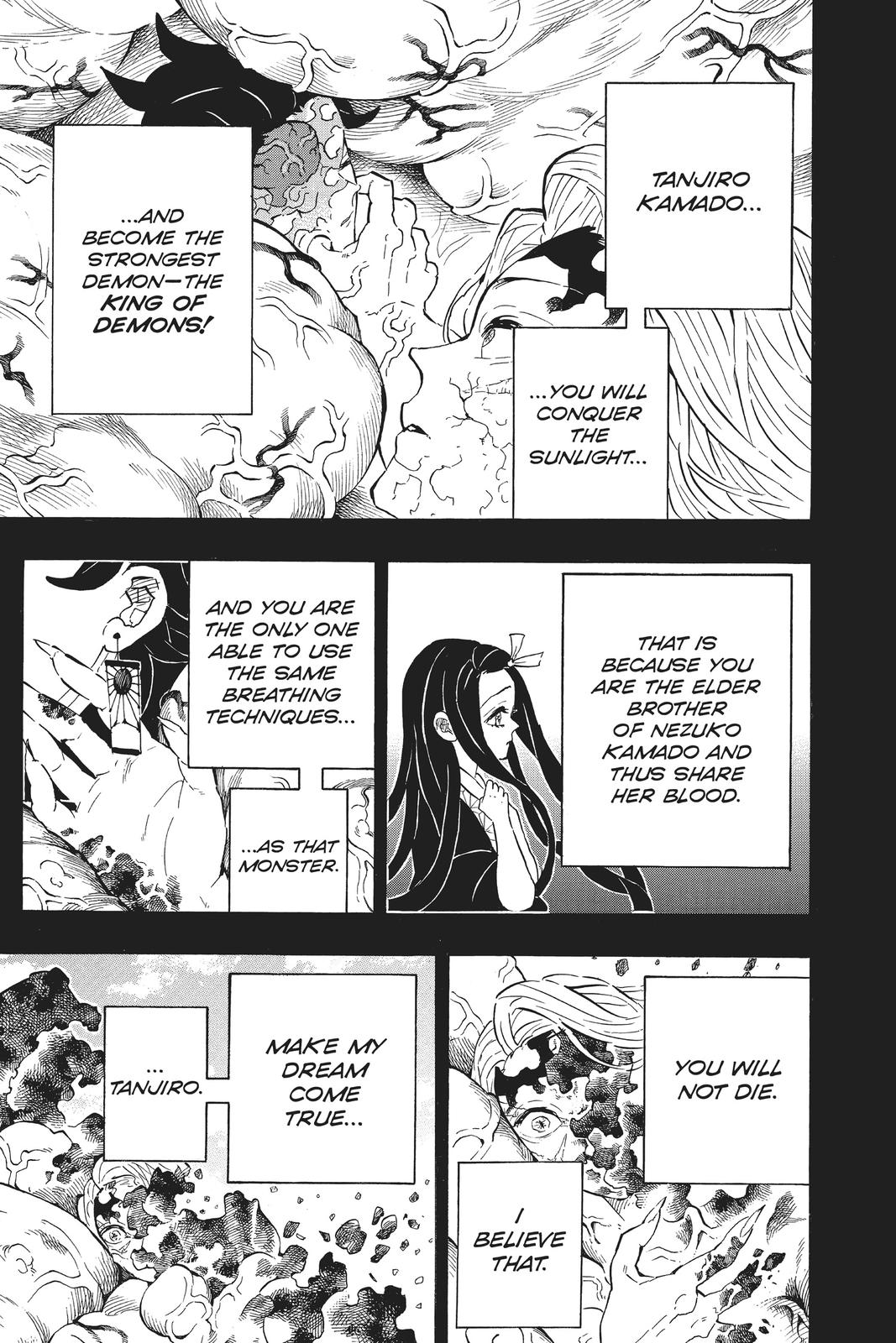 Demon Slayer: Kimetsu no Yaiba Chapter 201 - Page 5