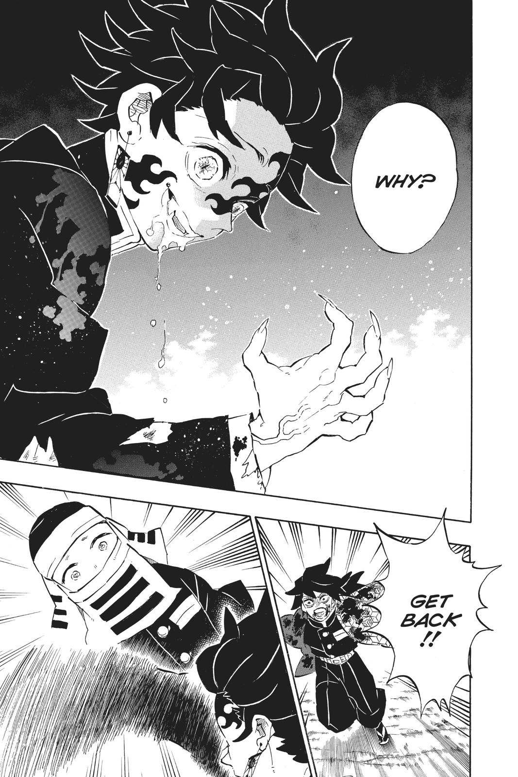 Demon Slayer: Kimetsu no Yaiba Chapter 201 - Page 9