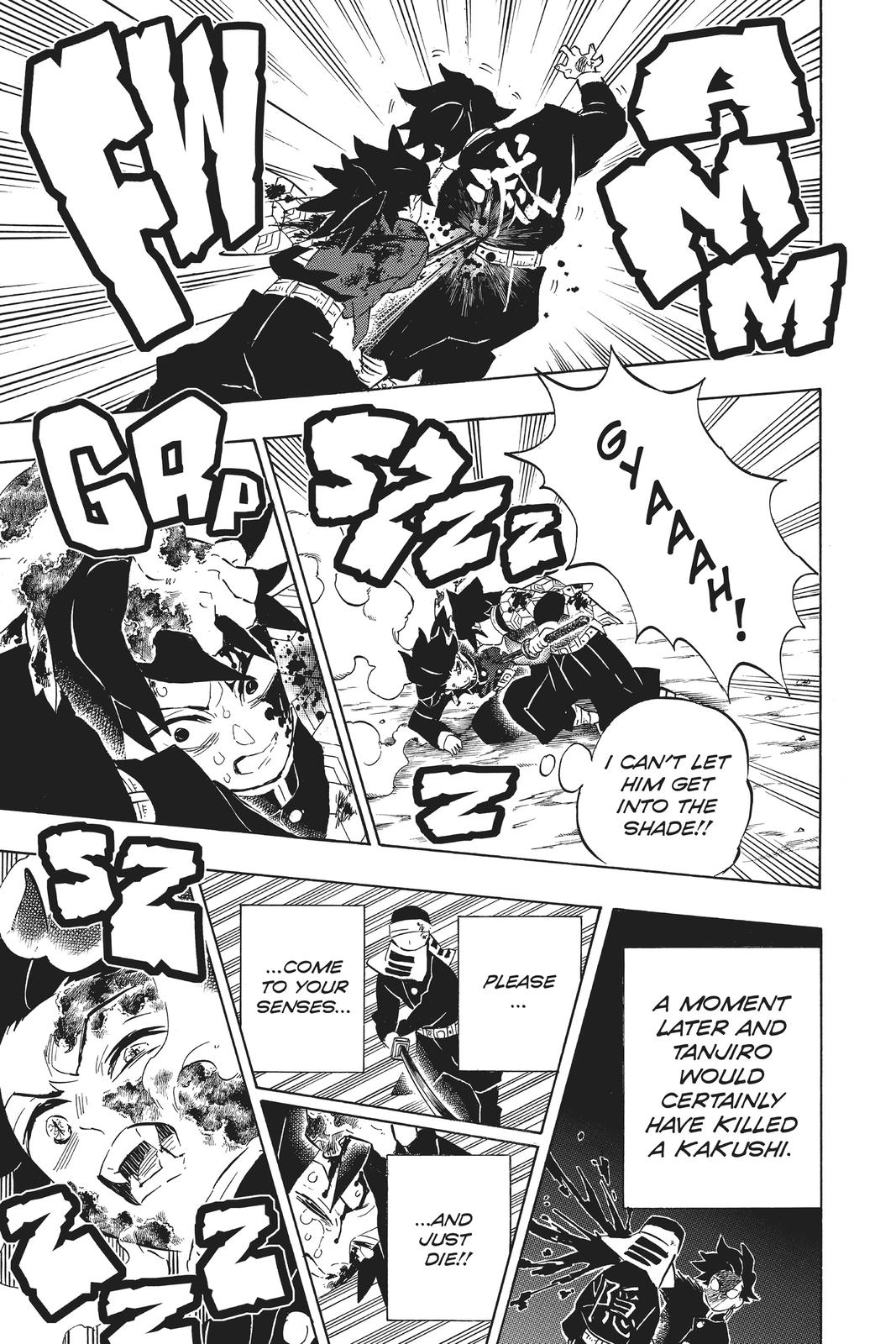 Demon Slayer: Kimetsu no Yaiba Chapter 201 - Page 13