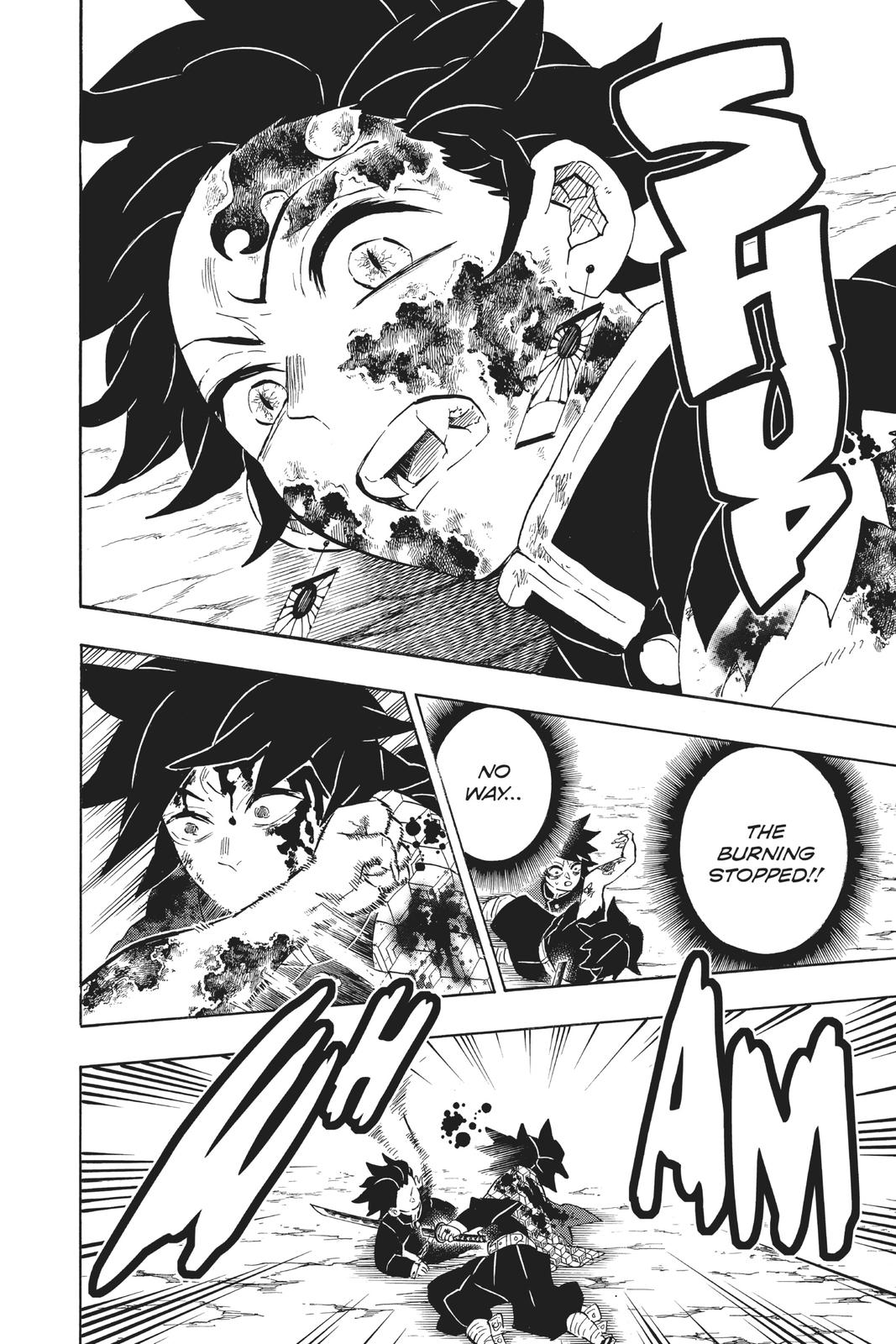 Demon Slayer: Kimetsu no Yaiba Chapter 201 - Page 14