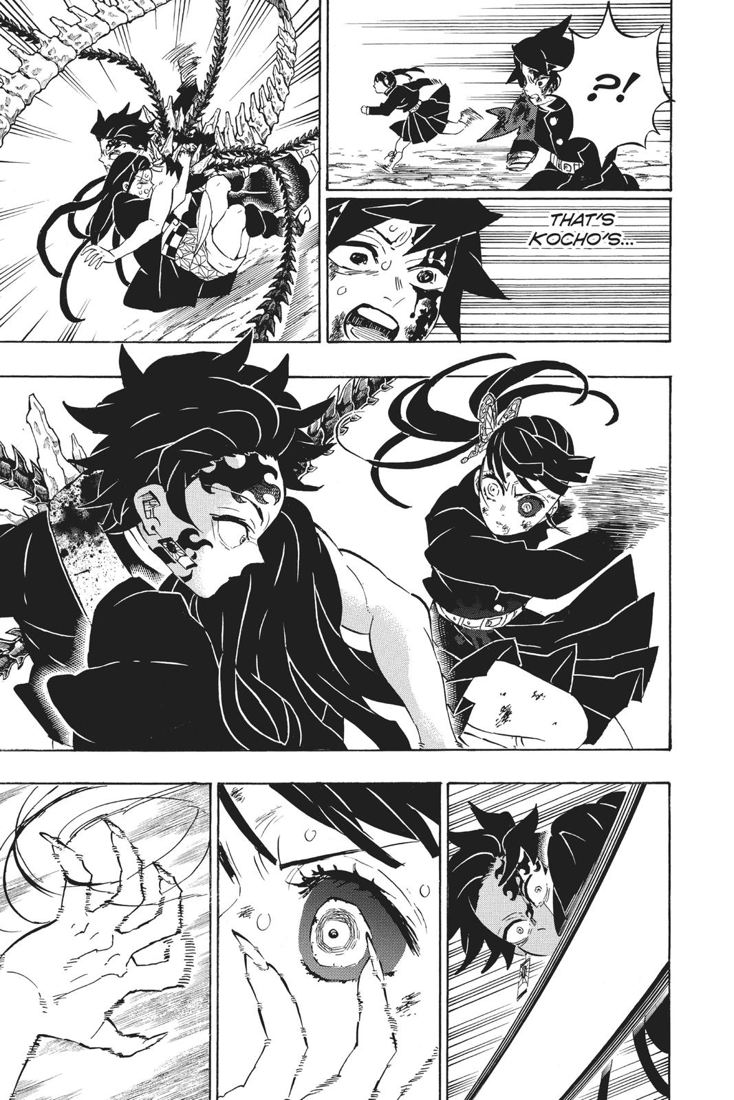 Demon Slayer: Kimetsu no Yaiba Chapter 202 - Page 17