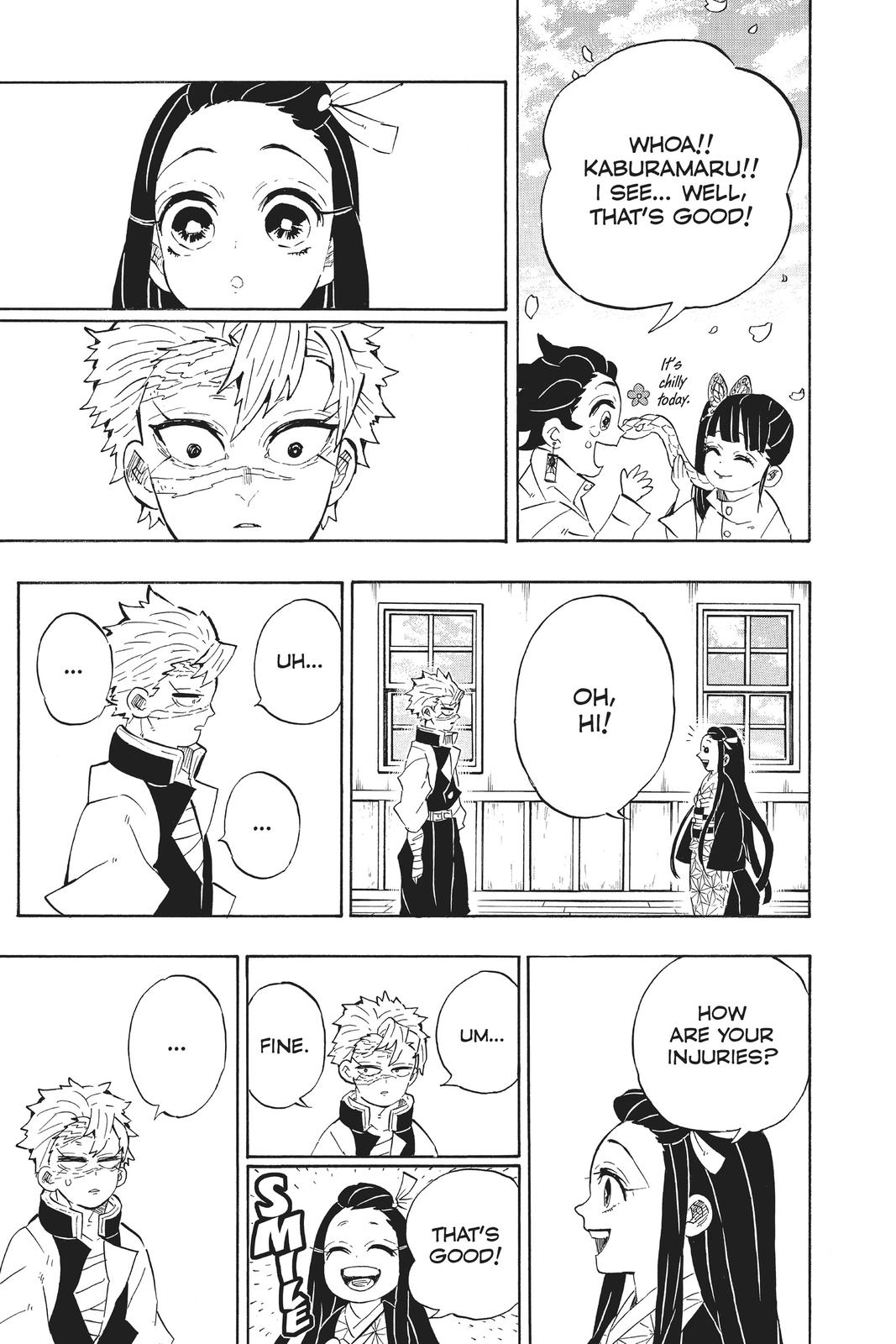 Demon Slayer: Kimetsu no Yaiba Chapter 204 - Page 20