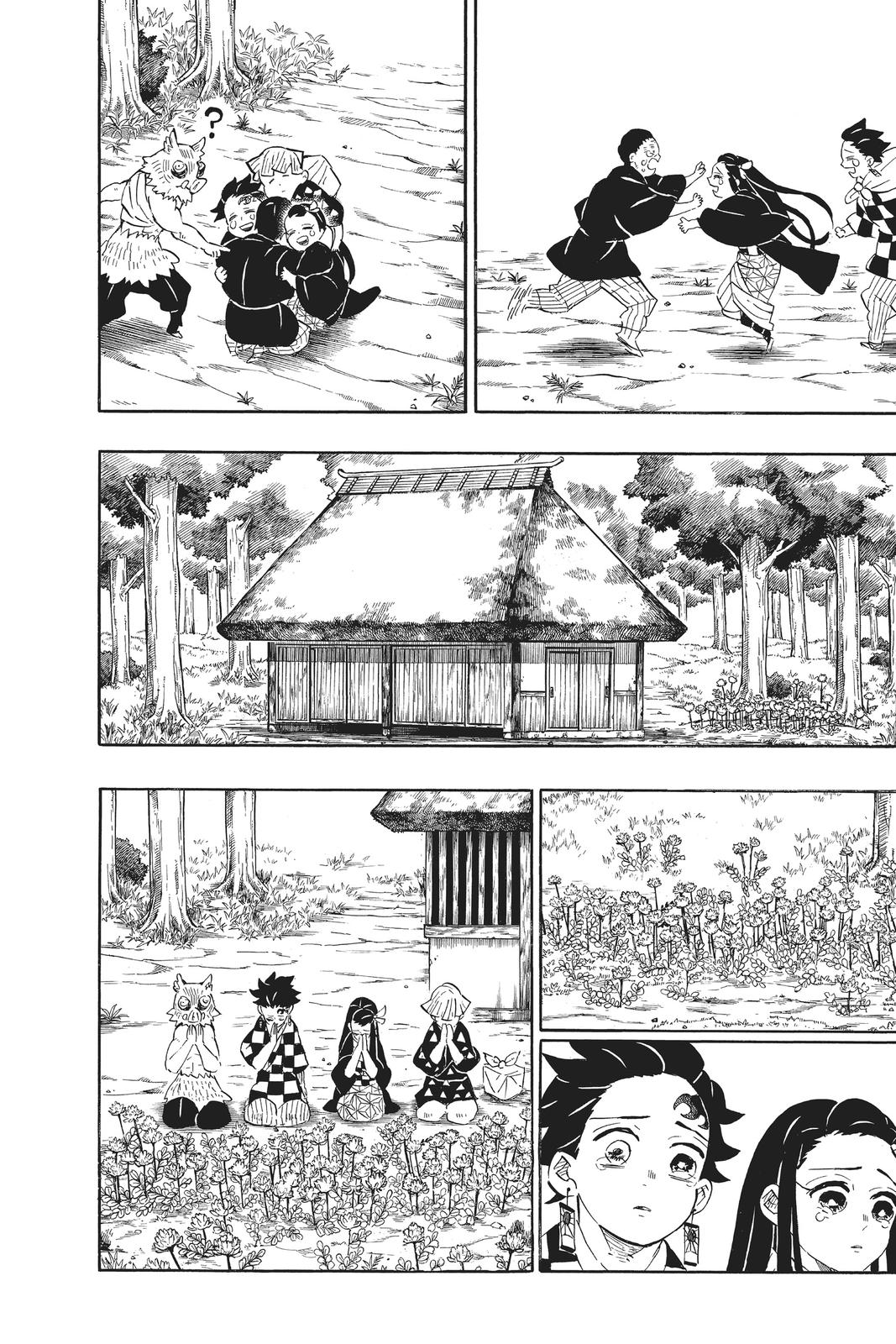 Demon Slayer: Kimetsu no Yaiba Chapter 204 - Page 25