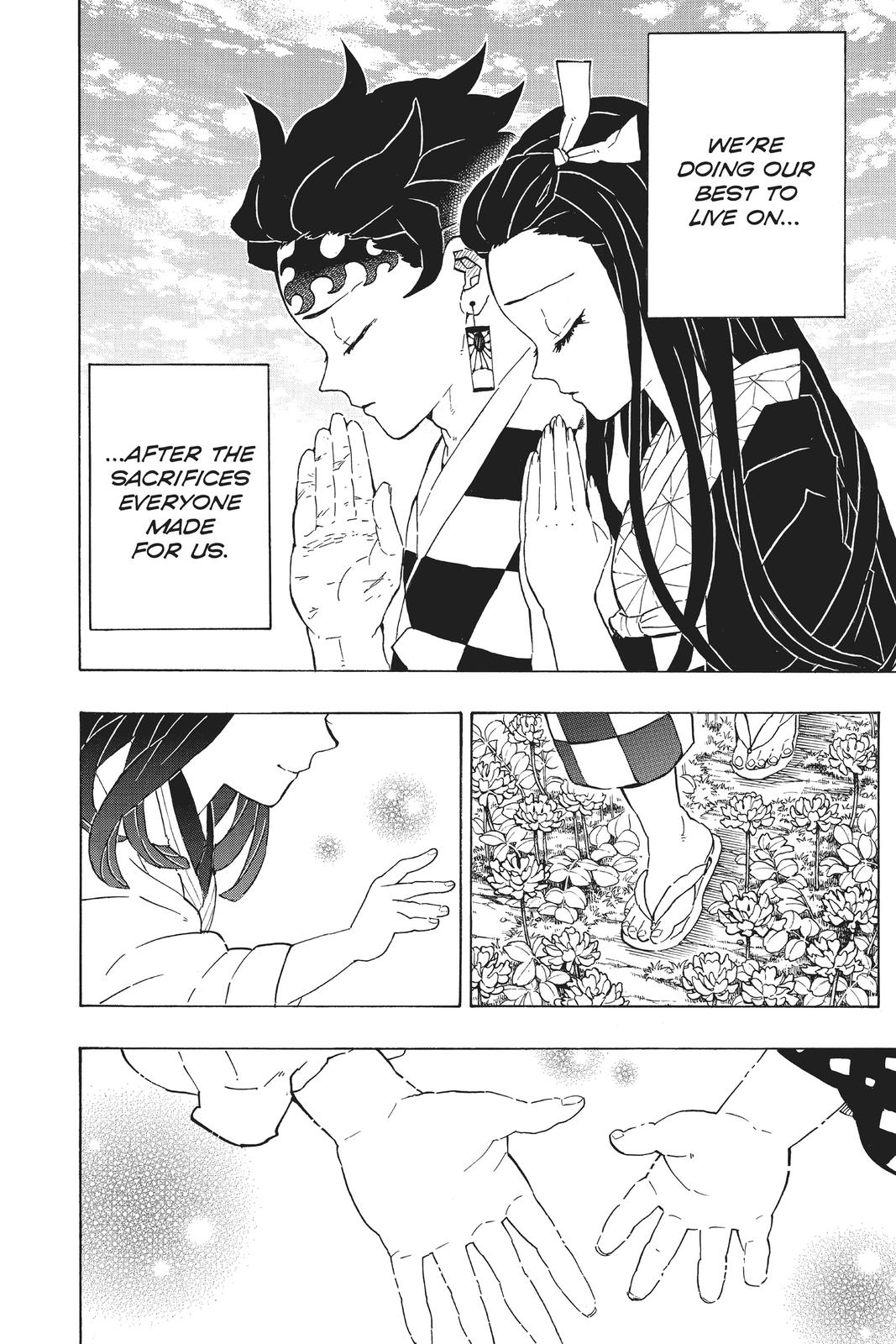 Demon Slayer: Kimetsu no Yaiba Chapter 204 - Page 27