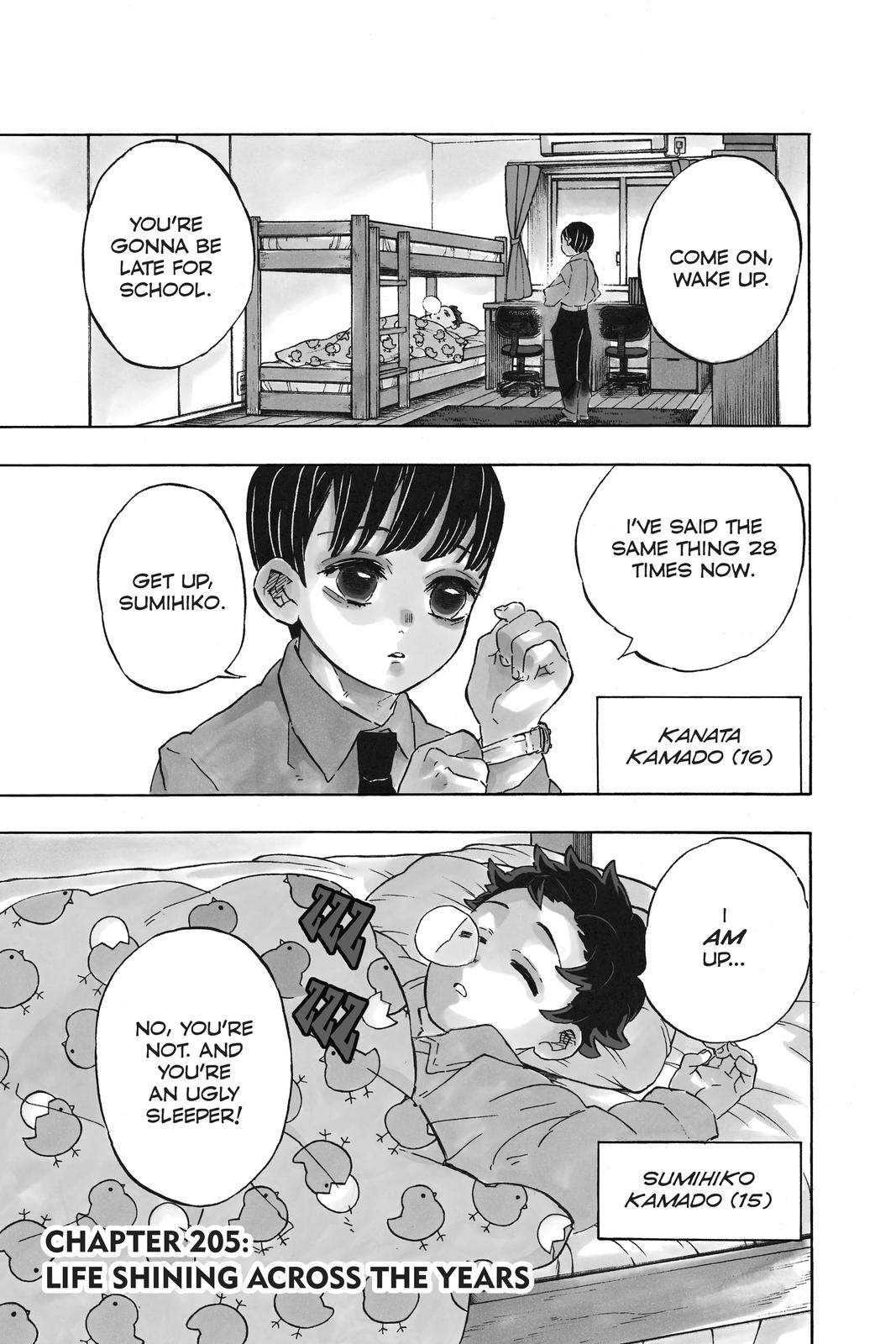 Demon Slayer: Kimetsu no Yaiba Chapter 205 - Page 1