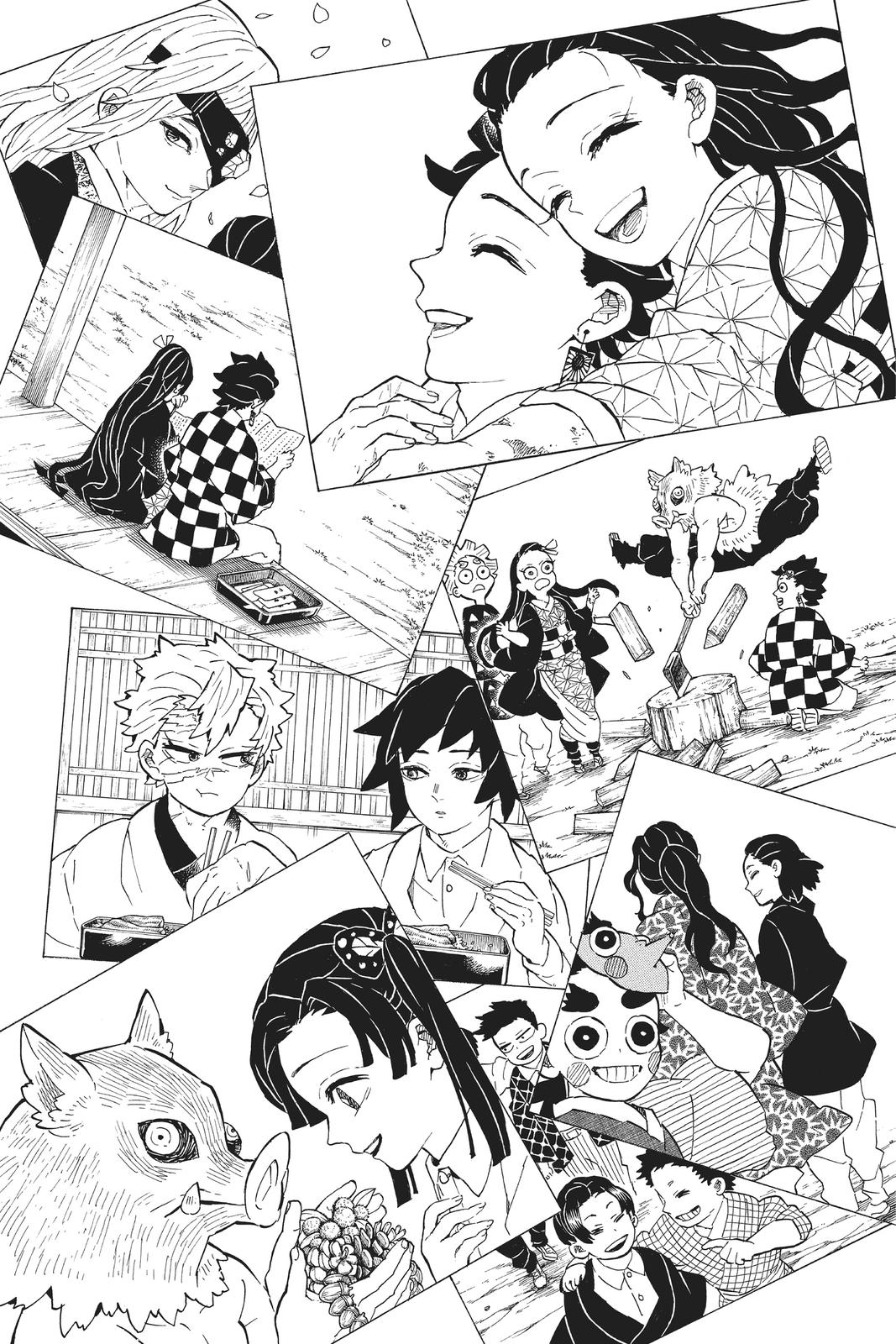 Demon Slayer: Kimetsu no Yaiba Chapter 205 - Page 33