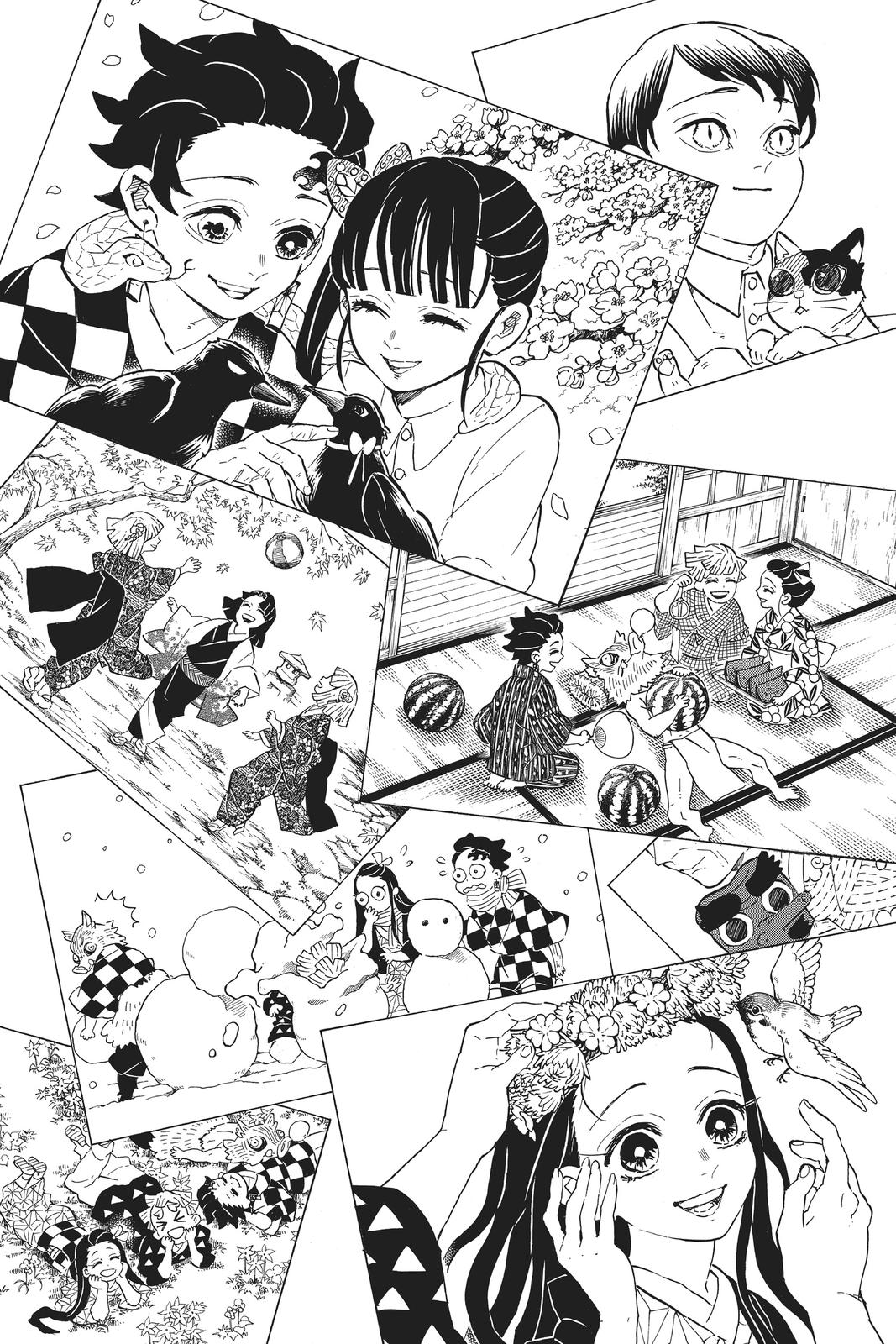 Demon Slayer: Kimetsu no Yaiba Chapter 205 - Page 34