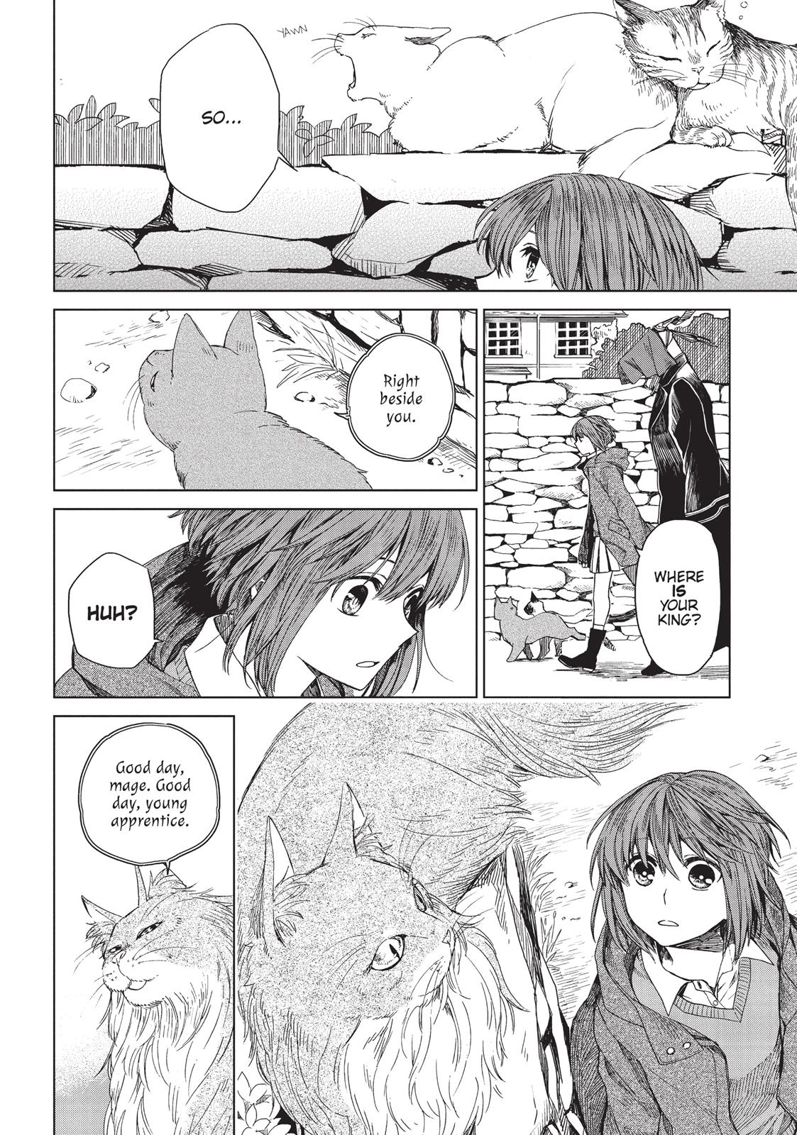 The Ancient Magus' Bride Chapter 4 - Page 12