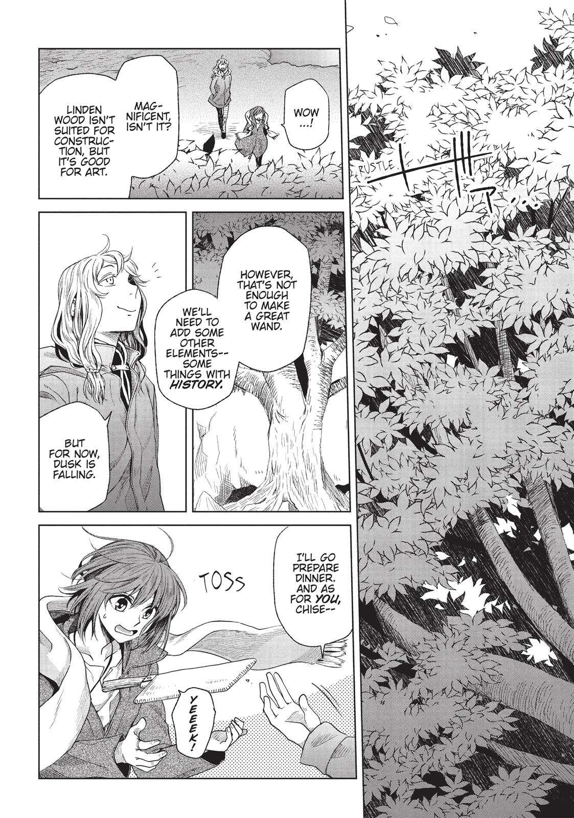 The Ancient Magus' Bride Chapter 15 - Page 17