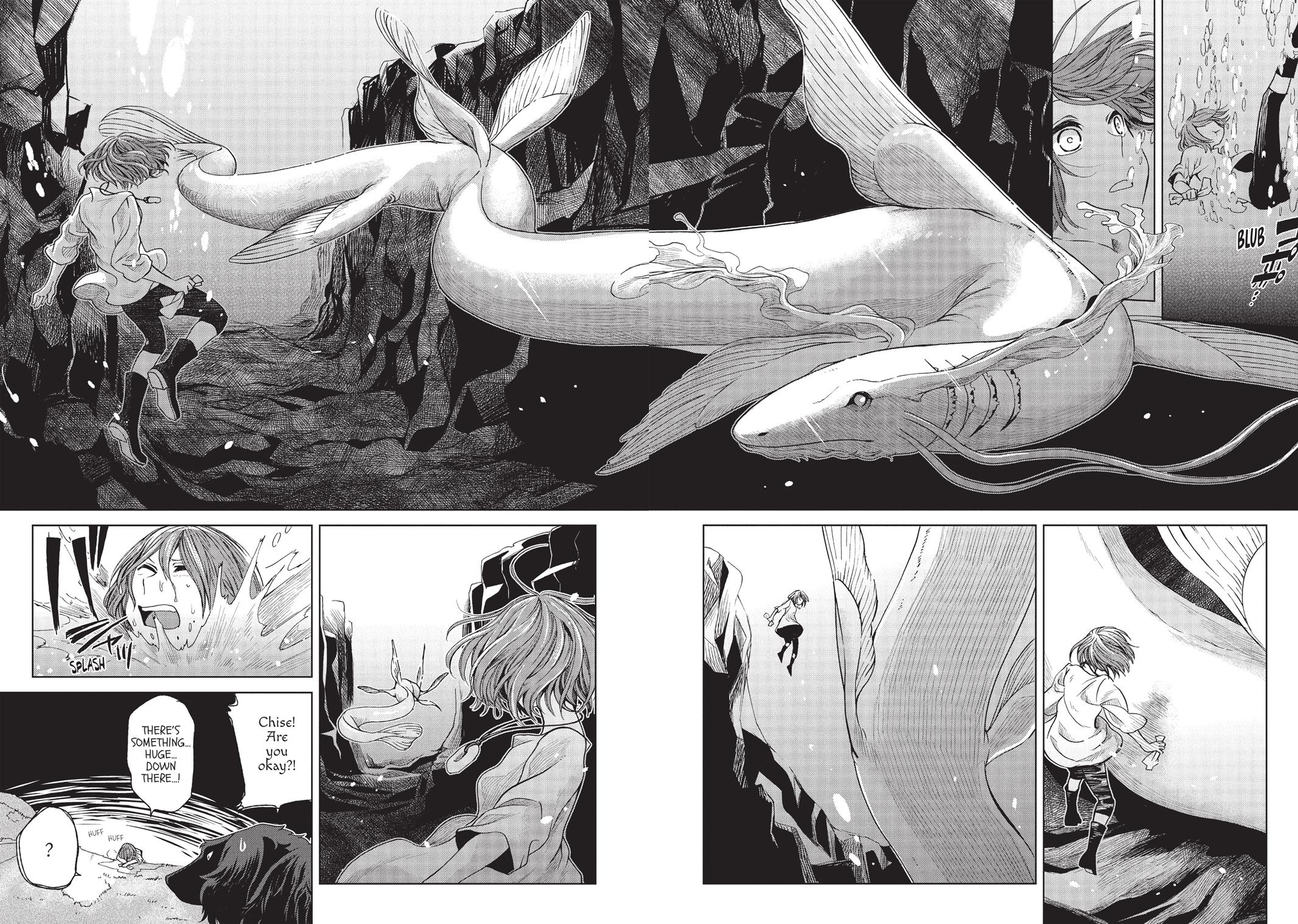 The Ancient Magus' Bride Chapter 17 - Page 14