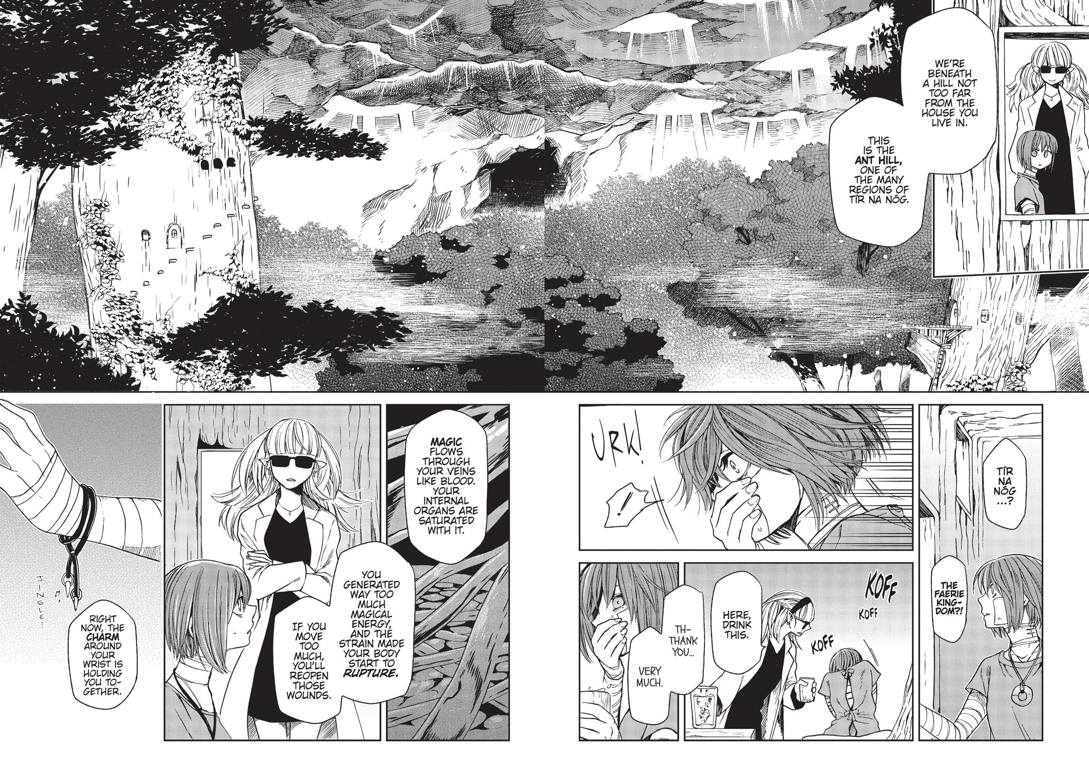 The Ancient Magus' Bride Chapter 23 - Page 12