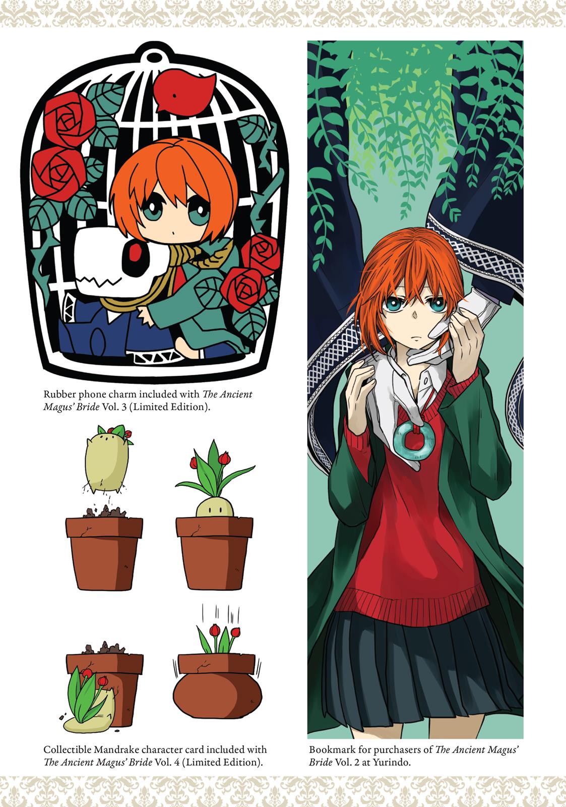 The Ancient Magus' Bride Chapter 40.5 - Page 11
