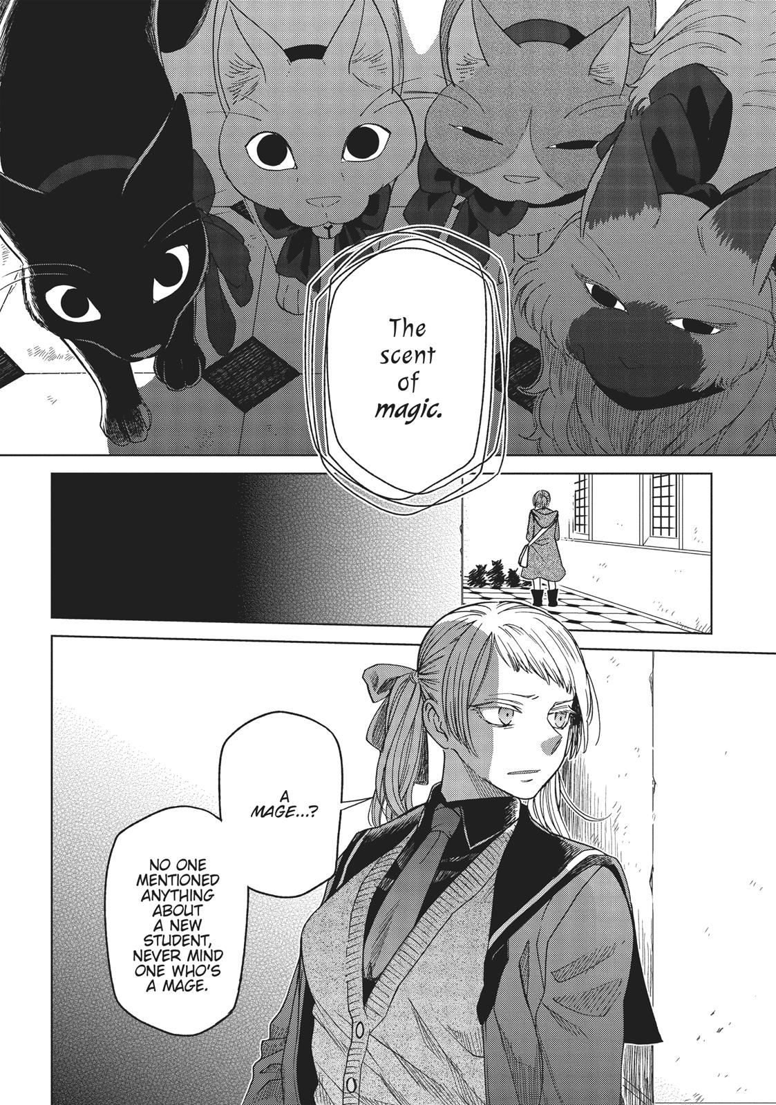 The Ancient Magus' Bride Chapter 46 - Page 37