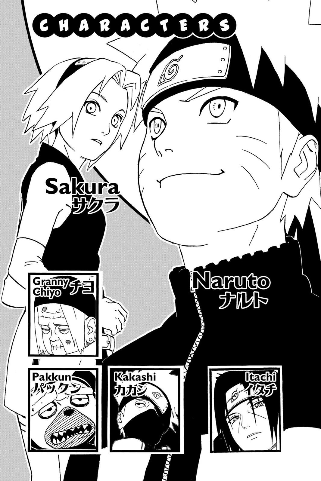 Naruto Chapter 254 - Page 5