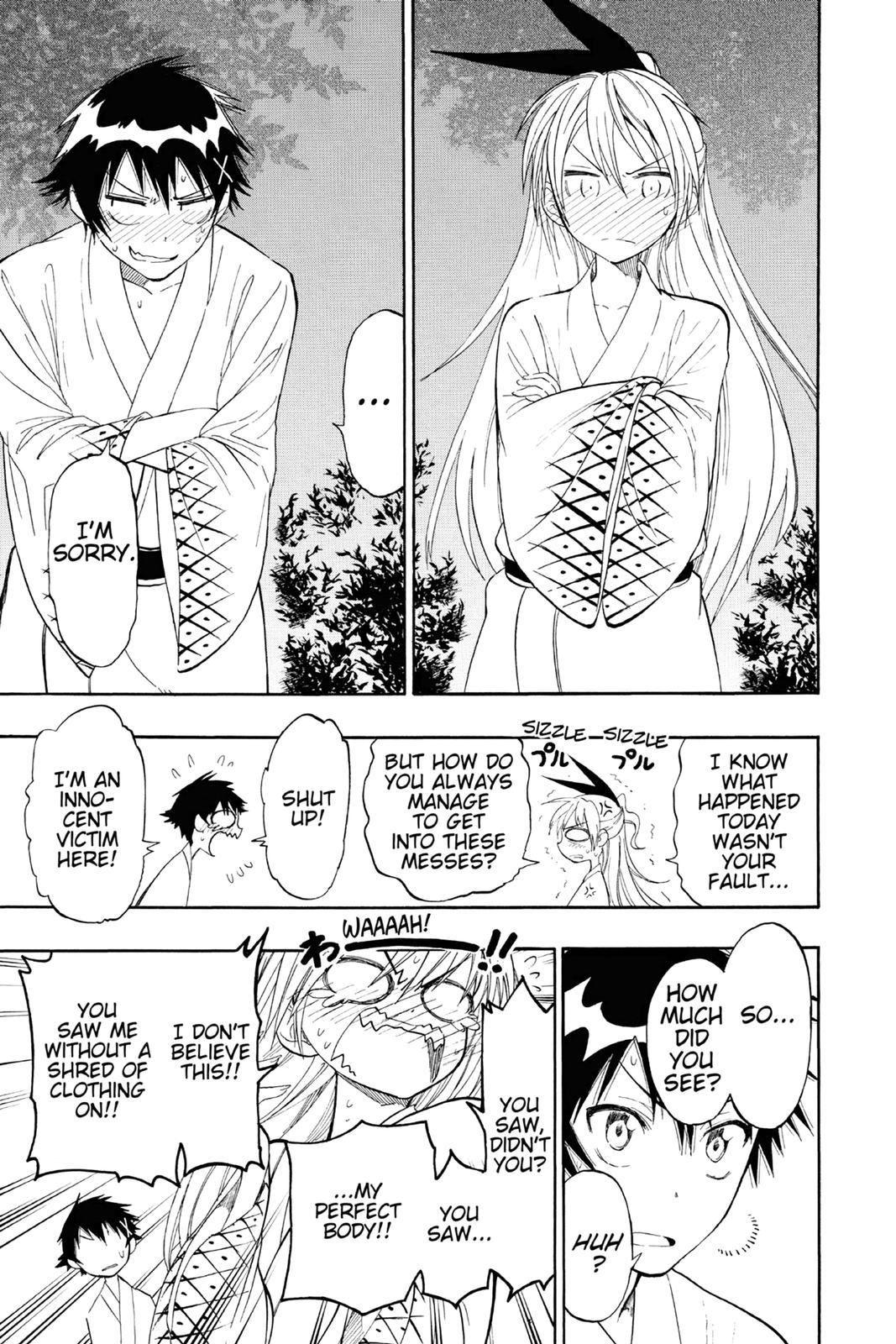 Nisekoi: False Love Chapter 23 - Page 17