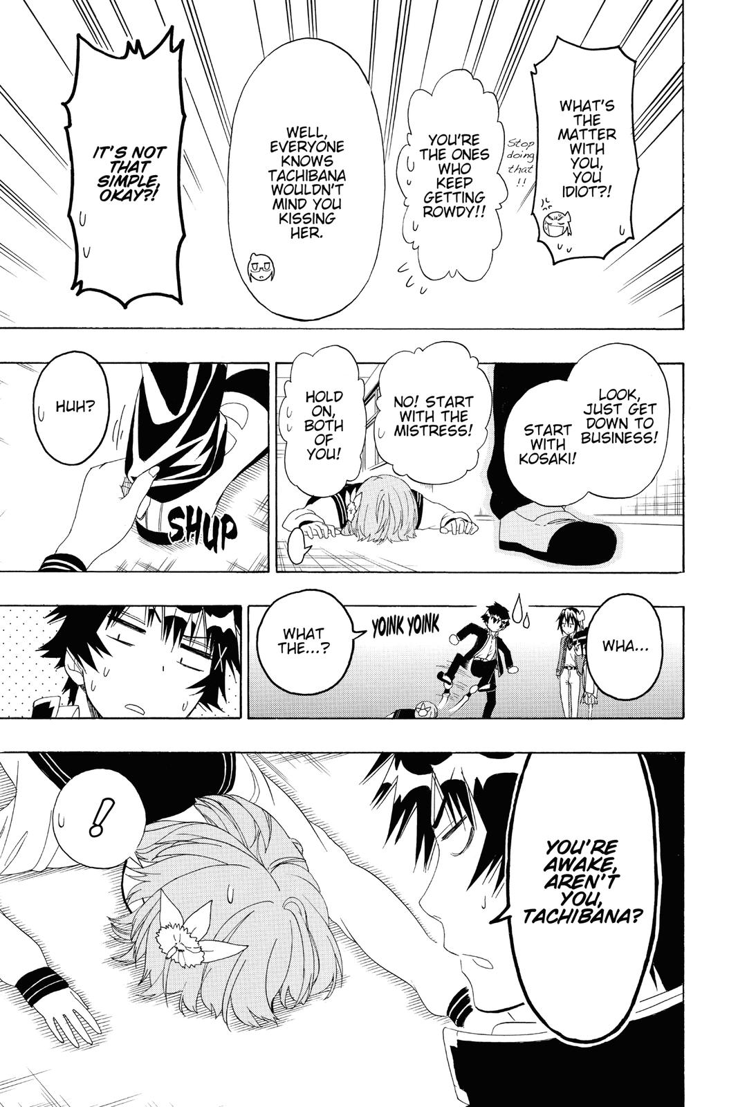 Nisekoi: False Love Chapter 140 - Page 15