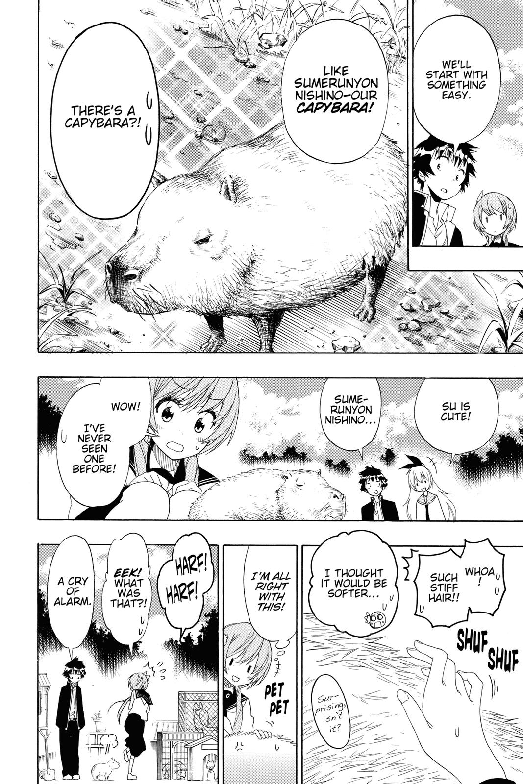 Nisekoi: False Love Chapter 142 - Page 6
