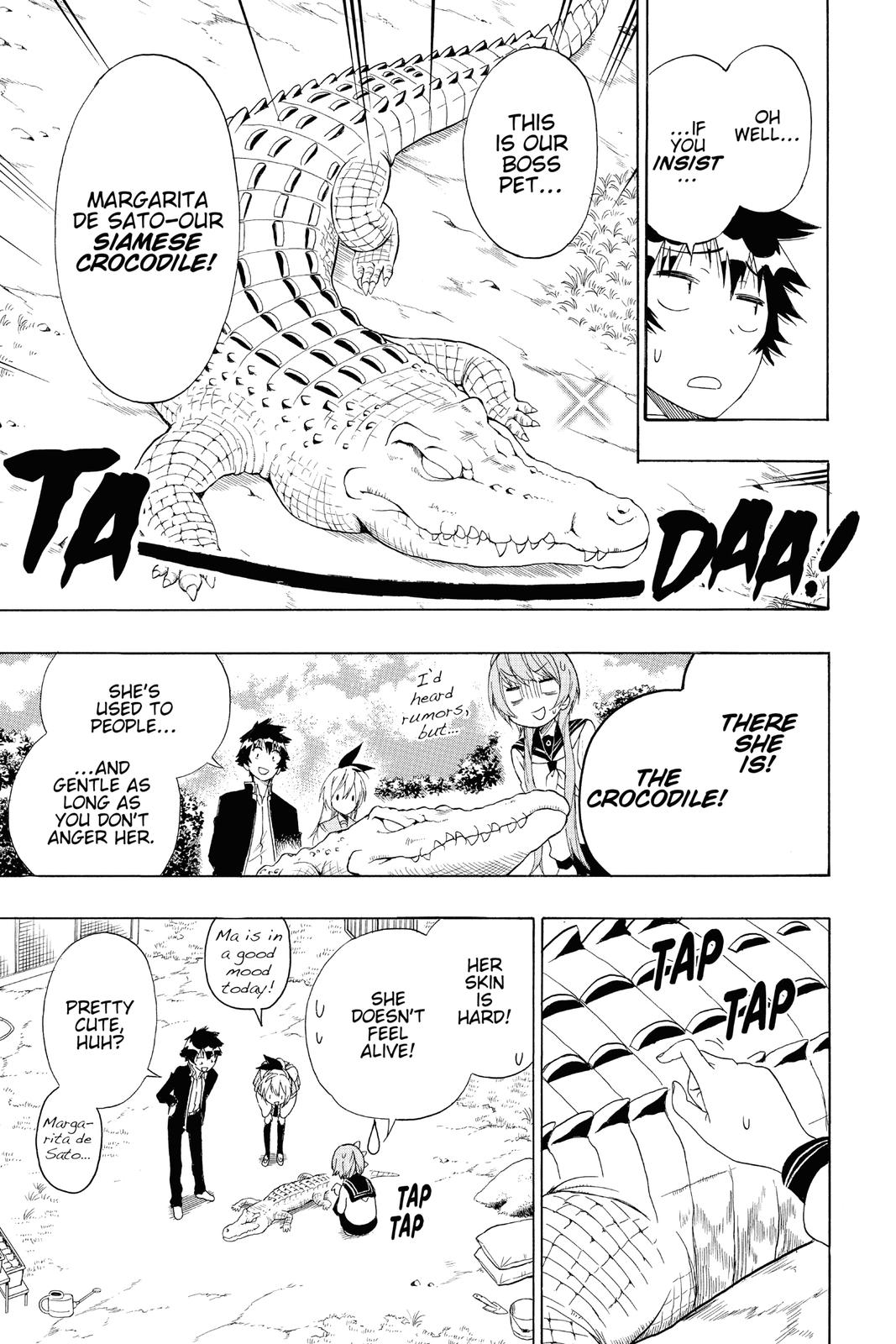 Nisekoi: False Love Chapter 142 - Page 11