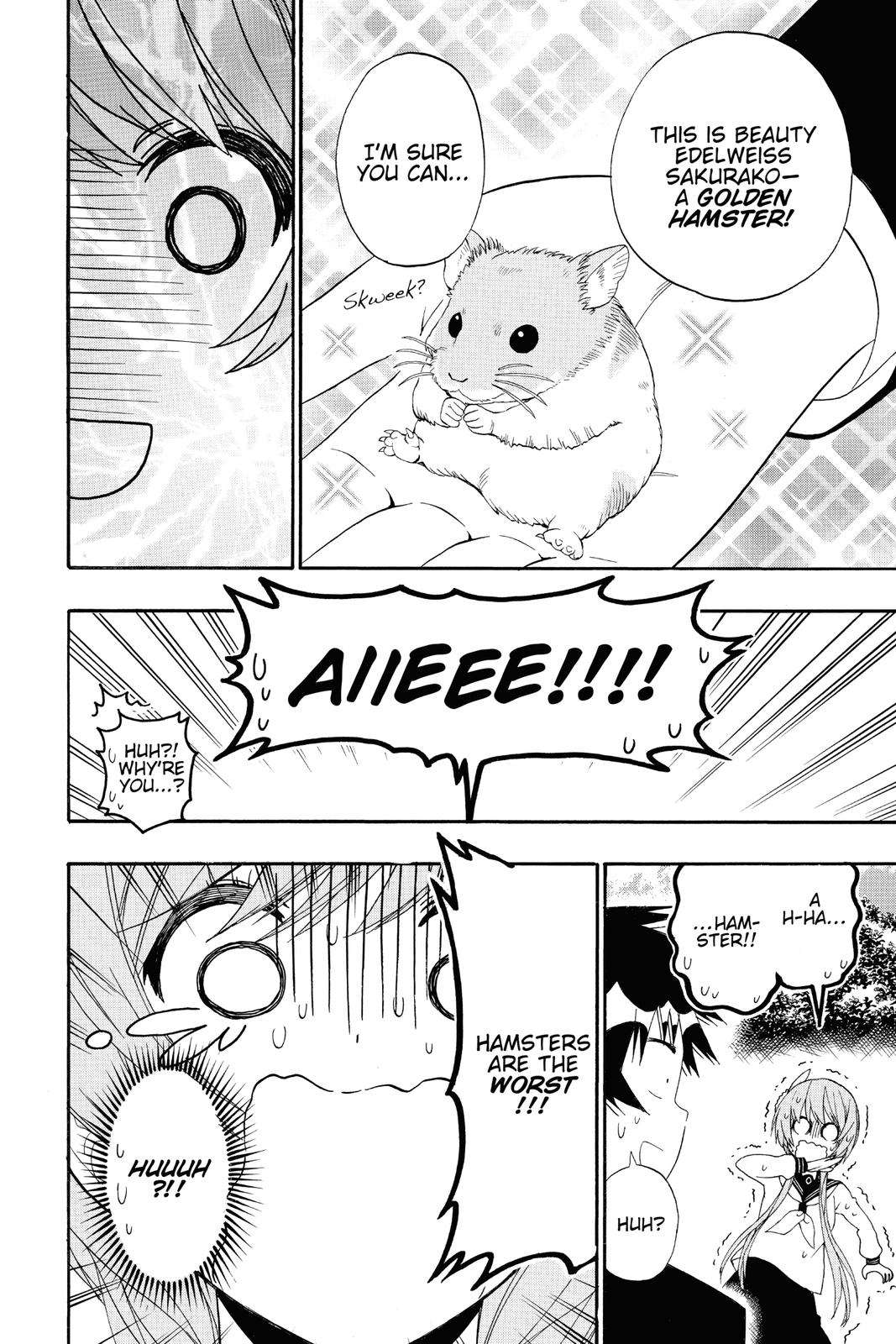 Nisekoi: False Love Chapter 142 - Page 14