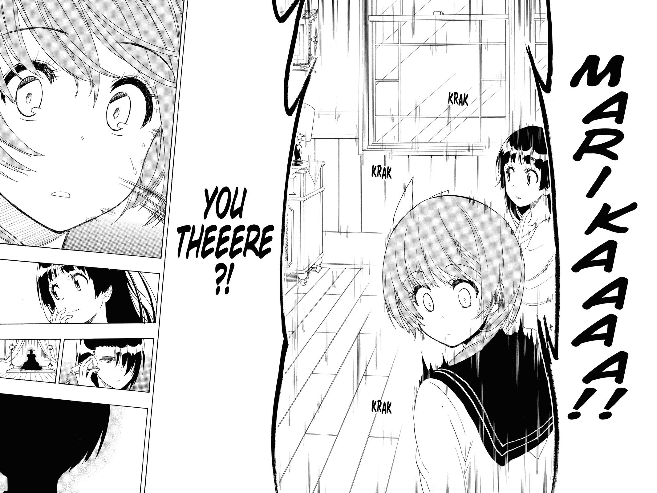 Nisekoi: False Love Chapter 183 - Page 18