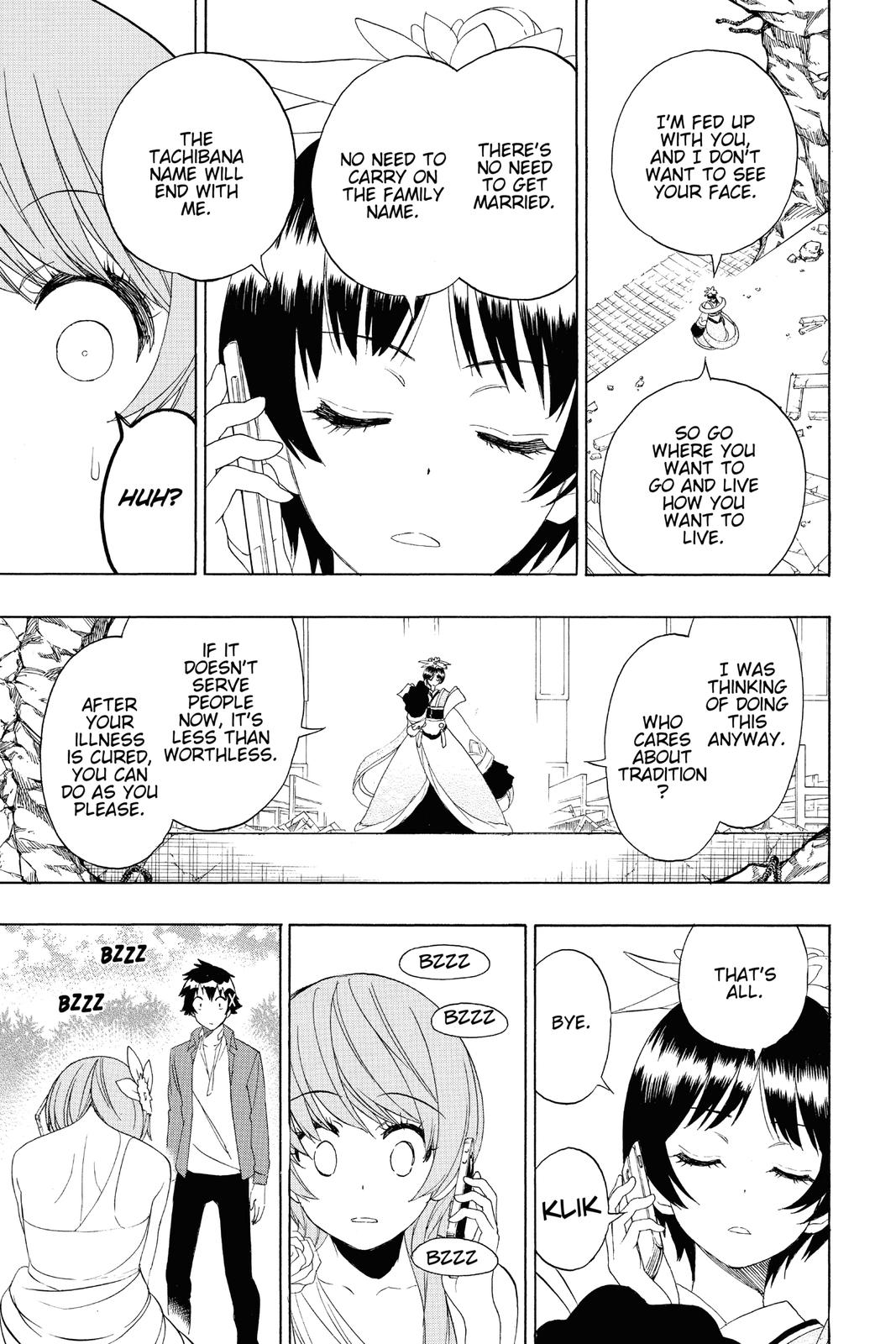 Nisekoi: False Love Chapter 194 - Page 17