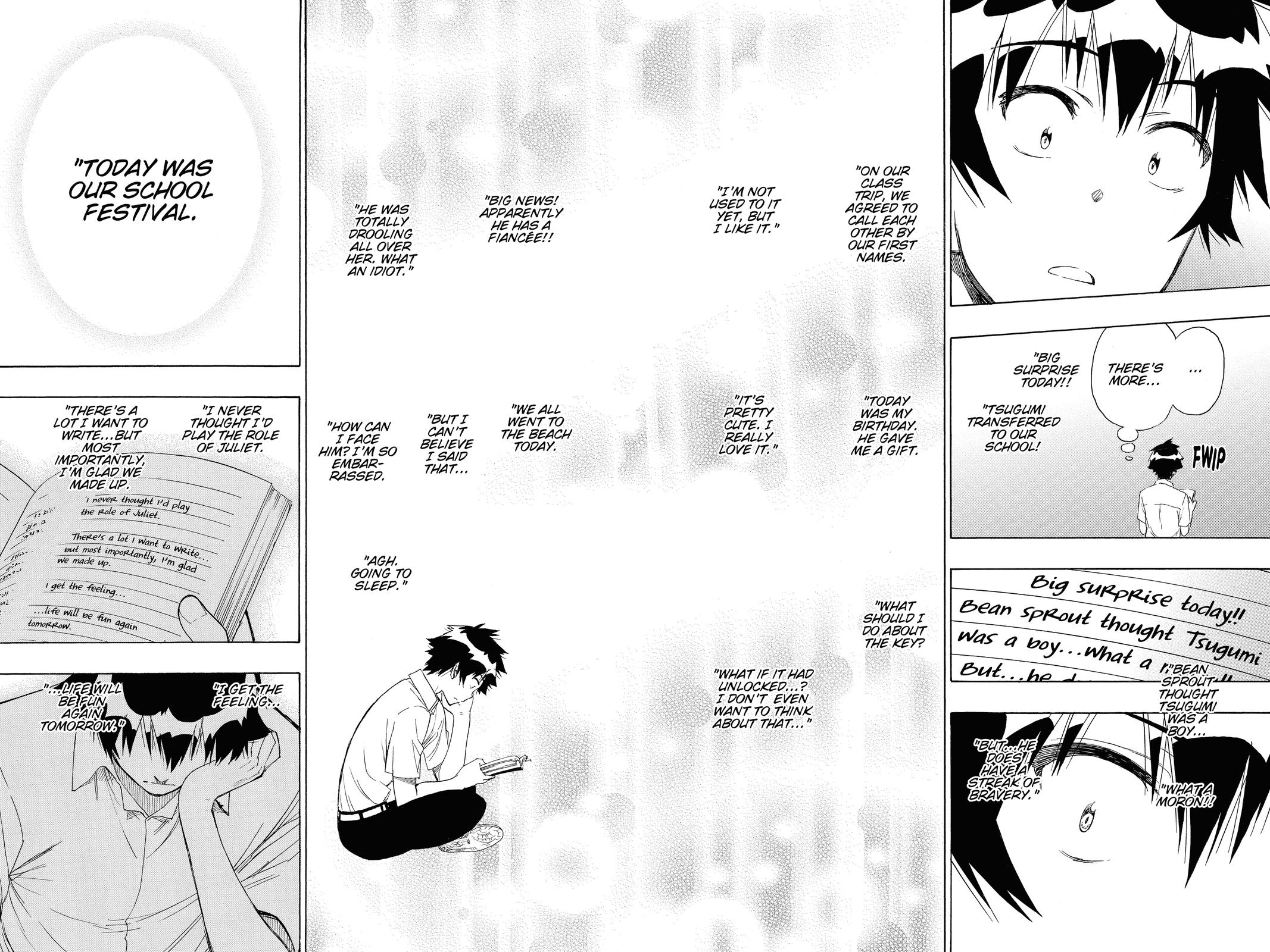 Nisekoi: False Love Chapter 213 - Page 14