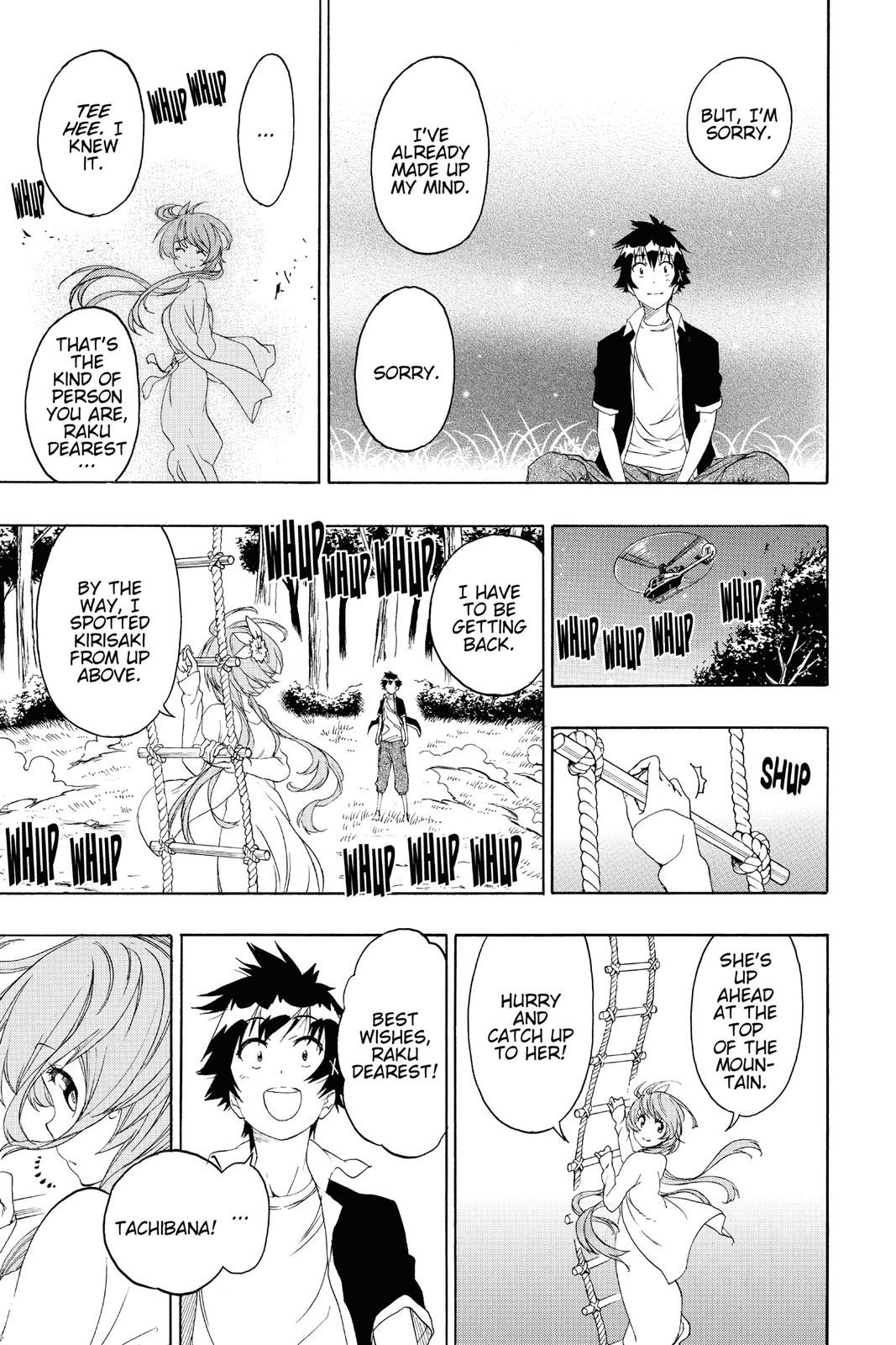 Nisekoi: False Love Chapter 219 - Page 17