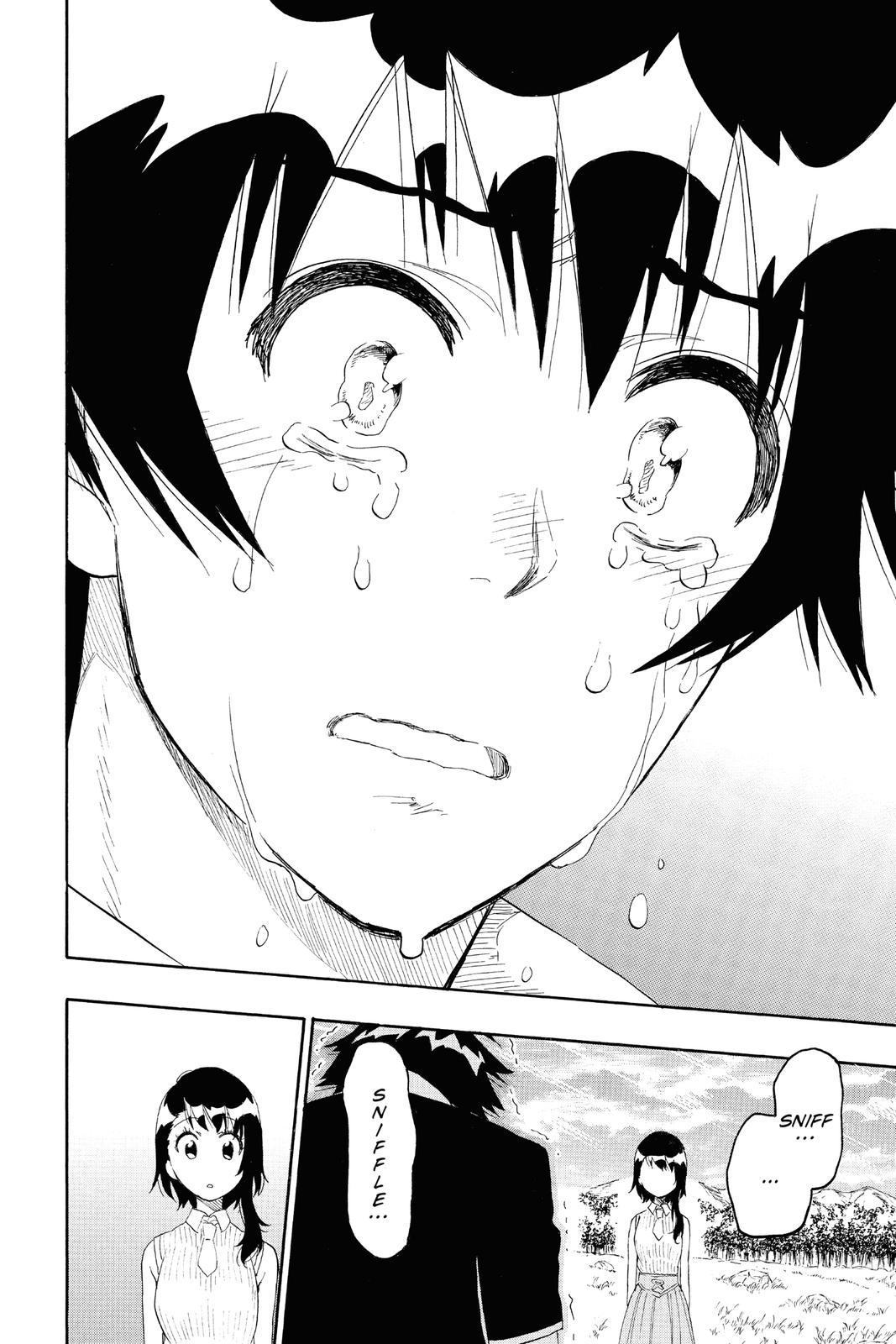 Nisekoi: False Love Chapter 225 - Page 15