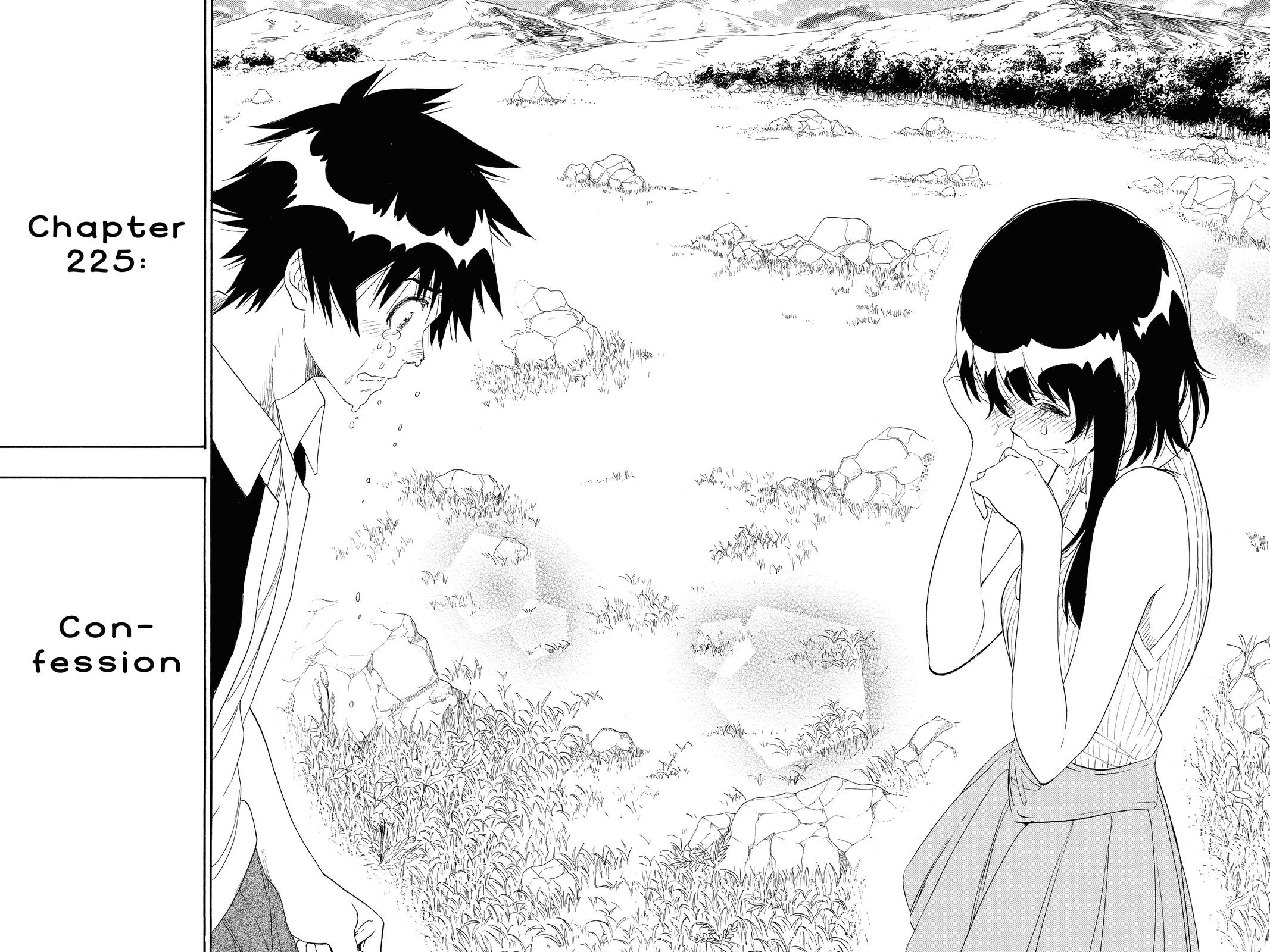 Nisekoi: False Love Chapter 225 - Page 17