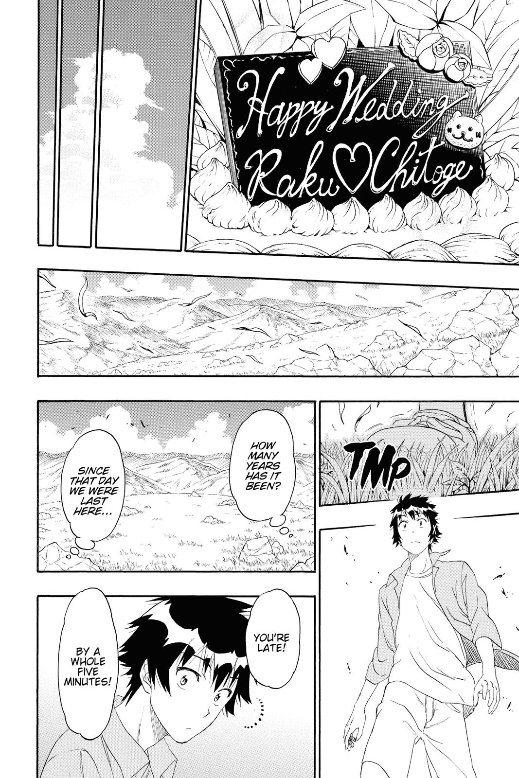 Nisekoi: False Love Chapter 229 - Page 16