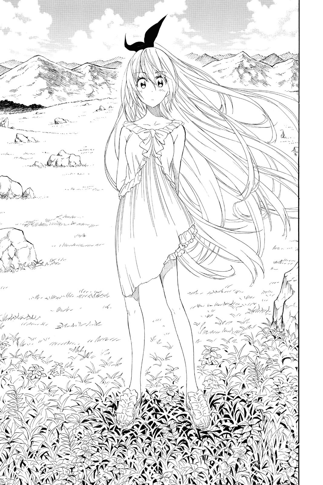 Nisekoi: False Love Chapter 229 - Page 17