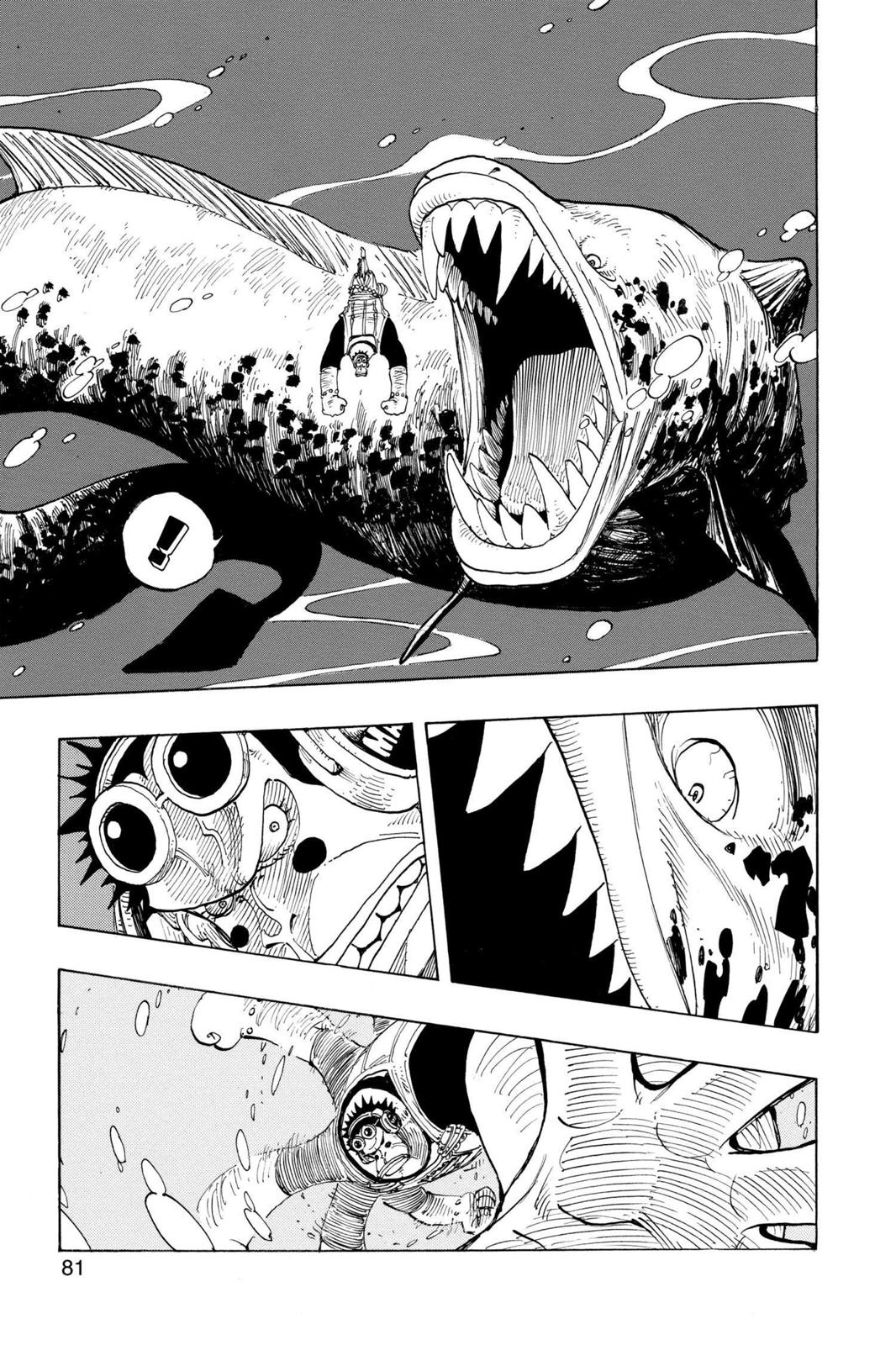 One Piece Chapter 220 - Page 15