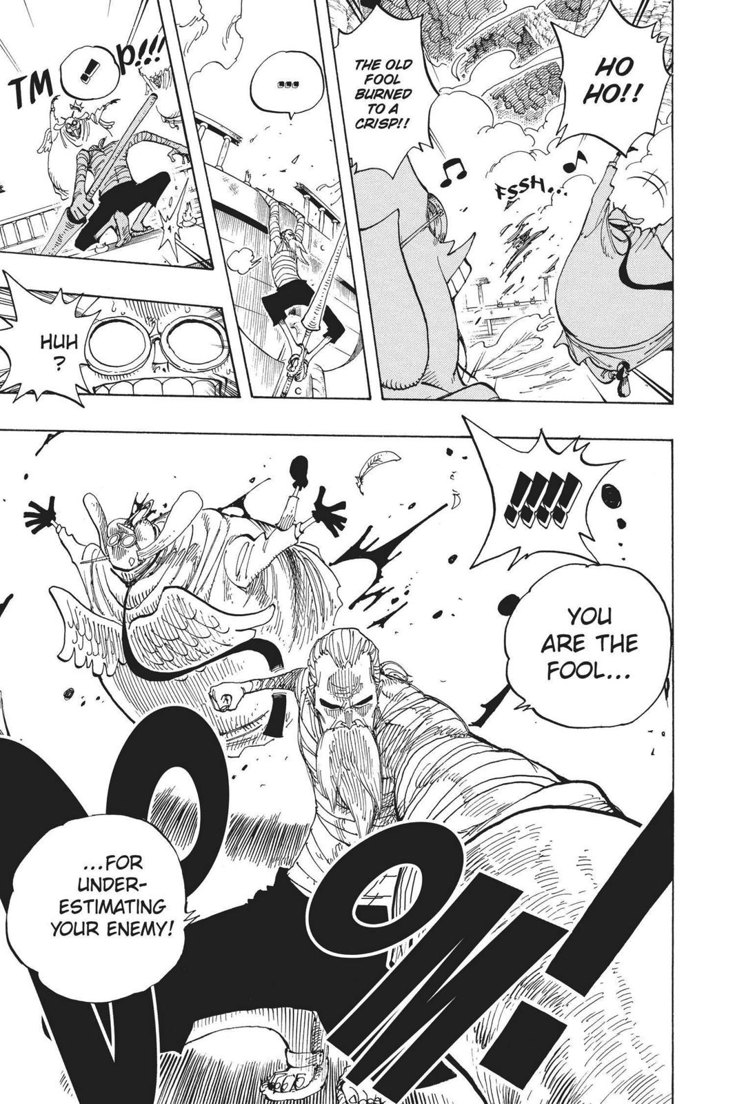 One Piece Chapter 263 - Page 13