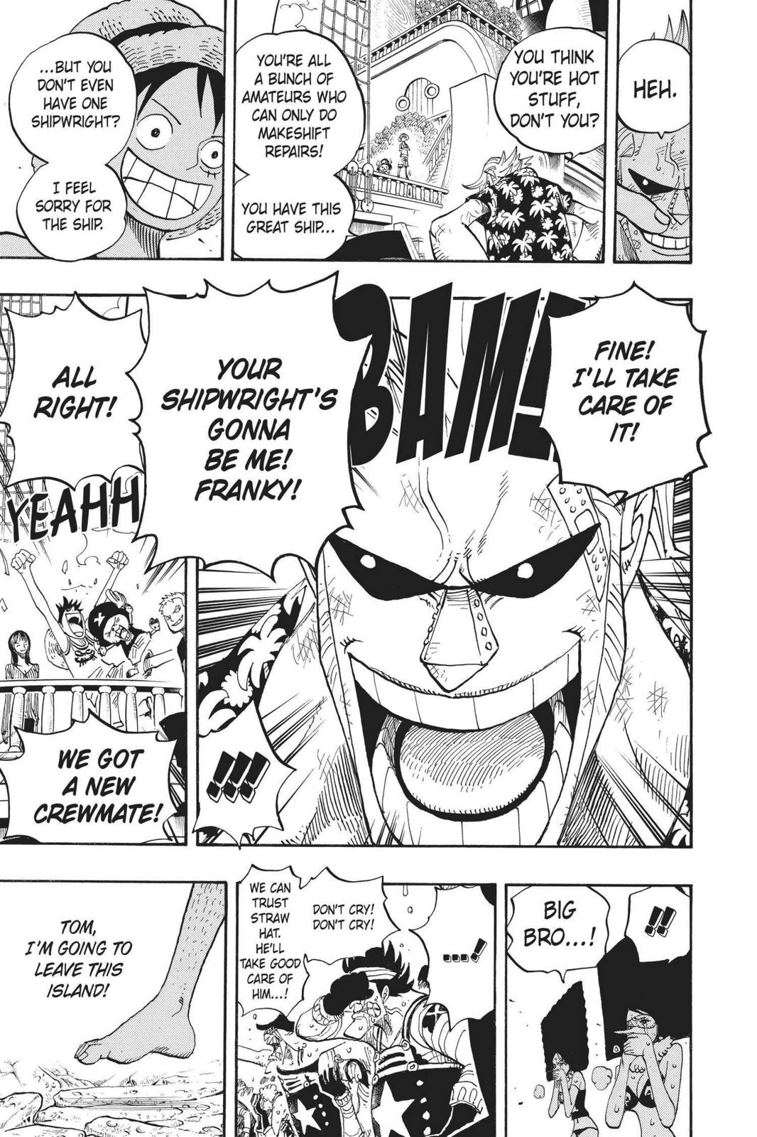 One Piece Chapter 437 - Page 17
