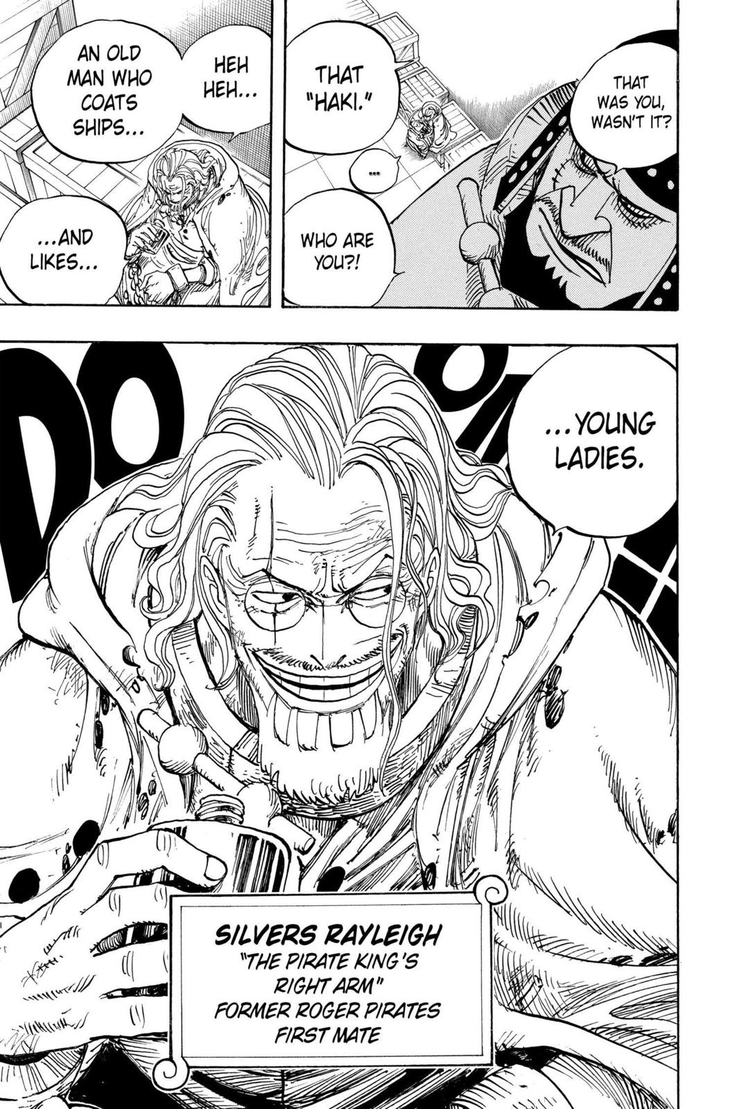 One Piece Chapter 500 - Page 19