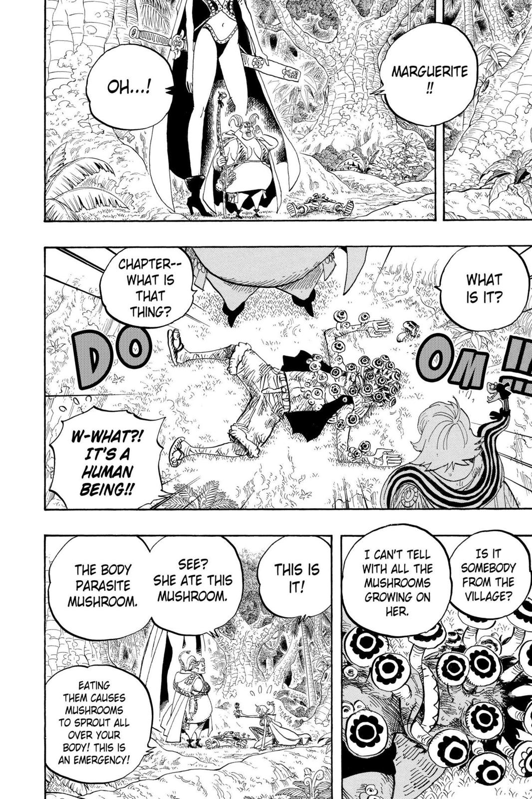 One Piece Chapter 514 - Page 13