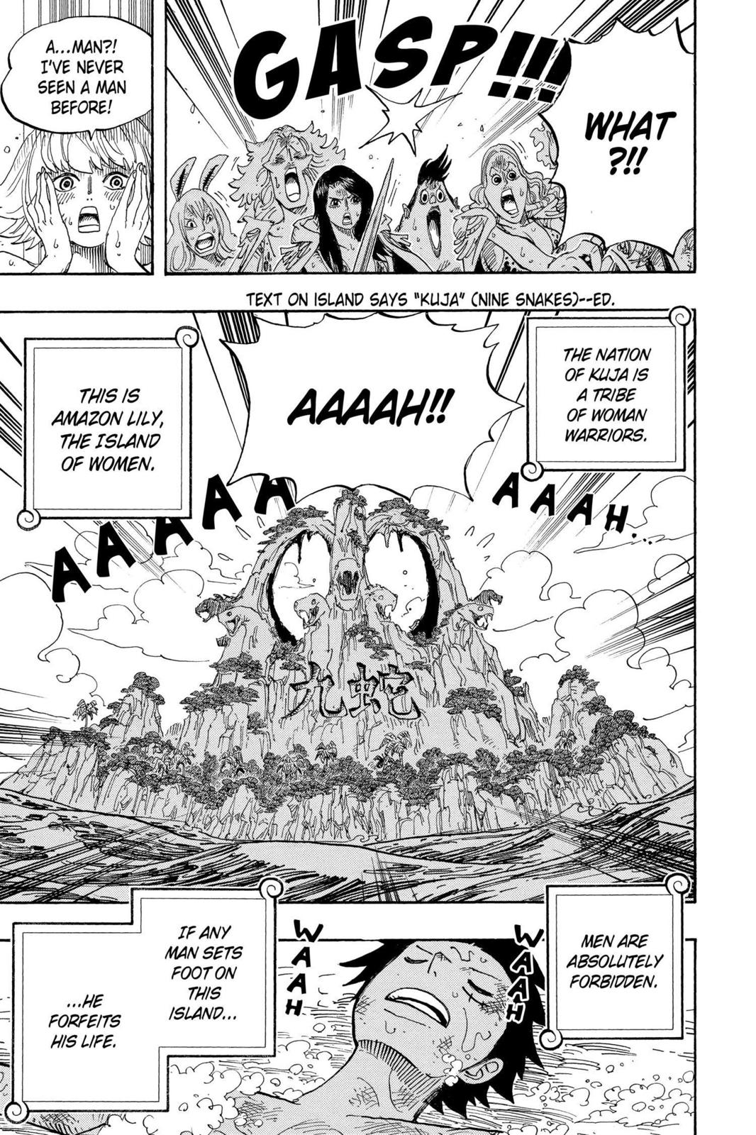 One Piece Chapter 514 - Page 18