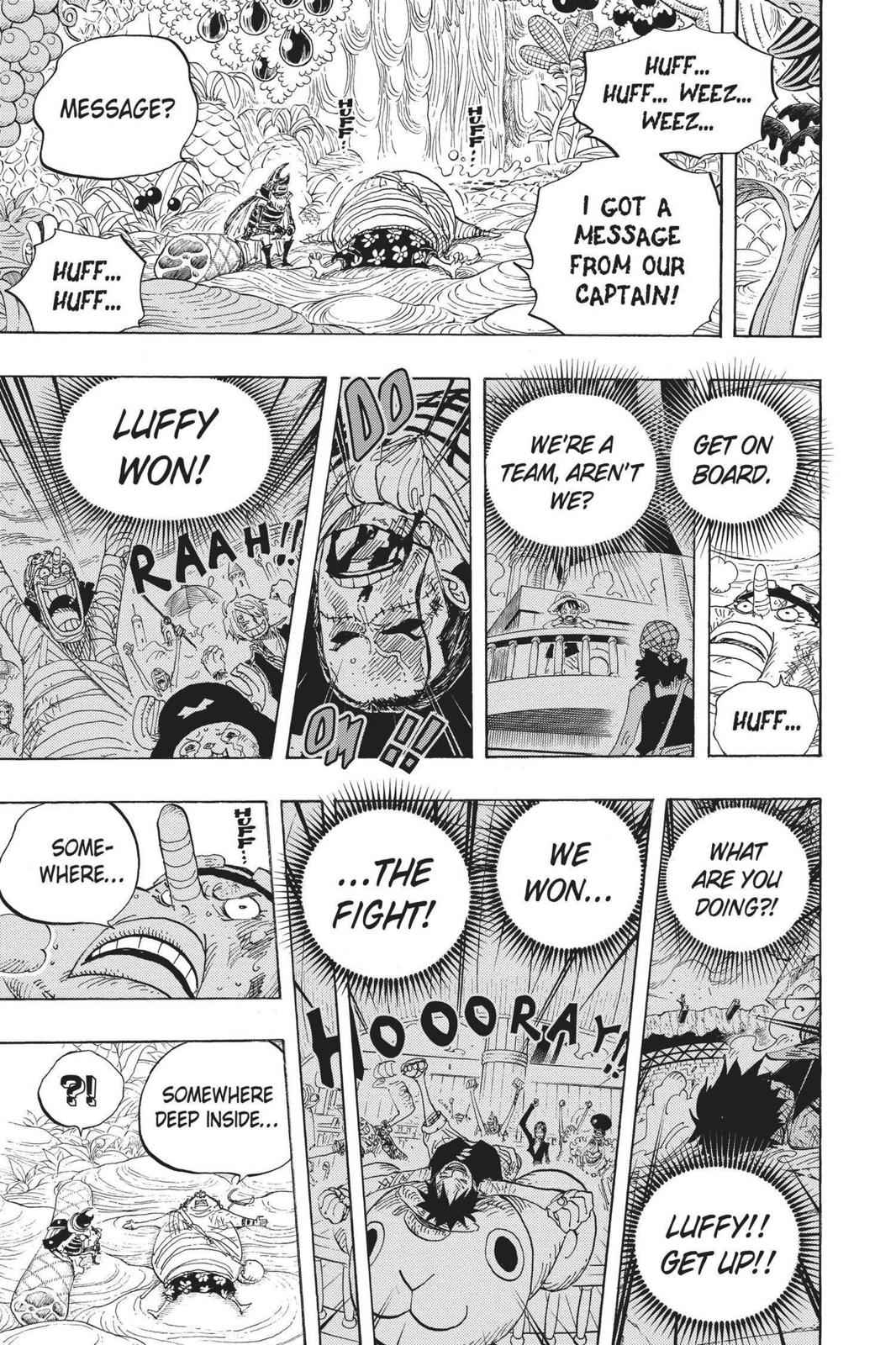 One Piece Chapter 596 - Page 17
