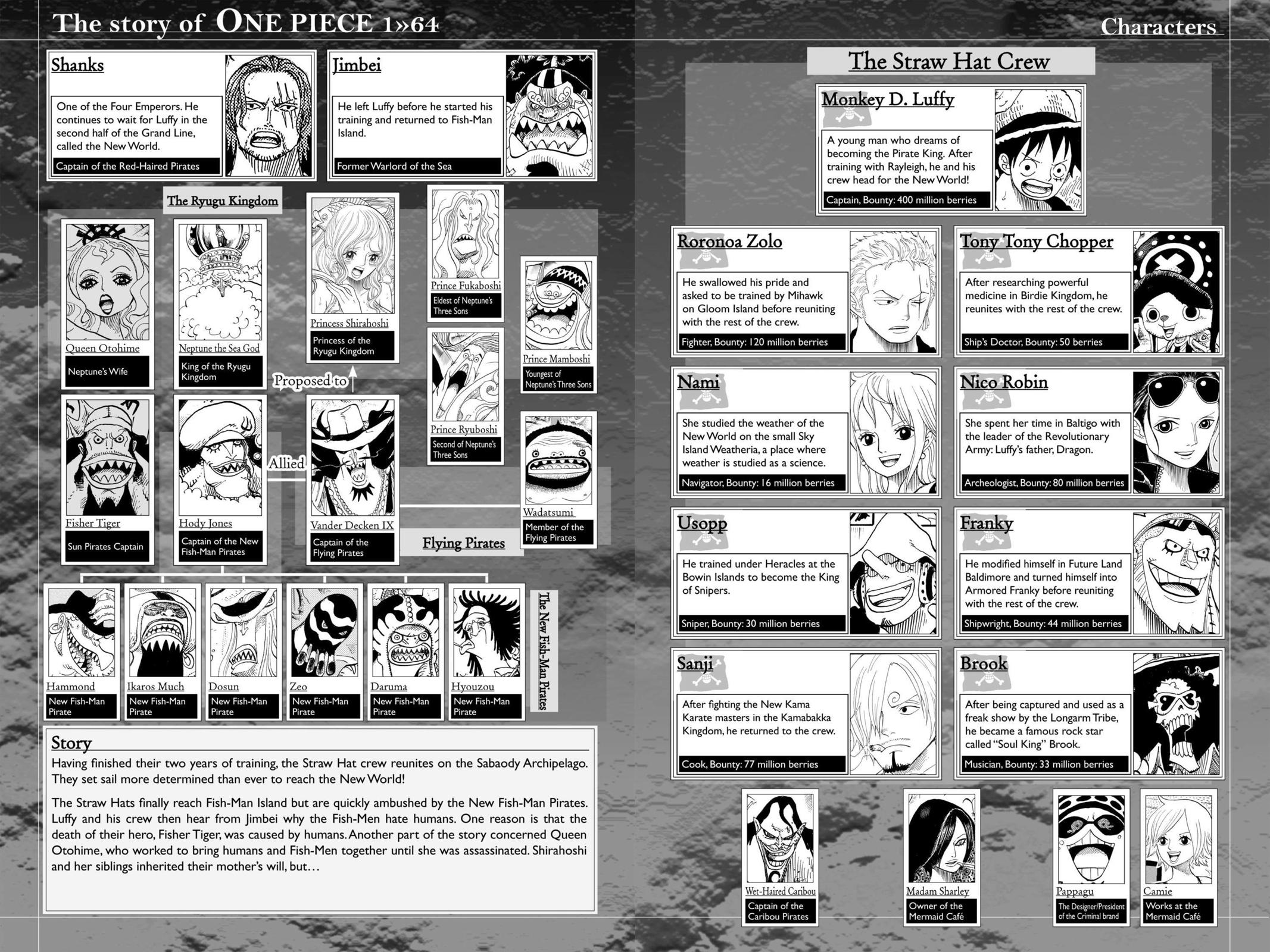 One Piece Chapter 627 - Page 5