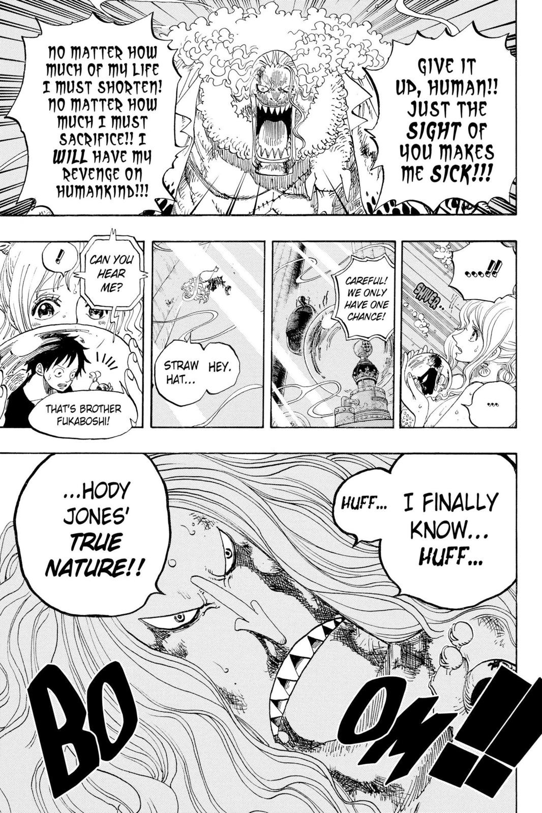 One Piece Chapter 641 - Page 19