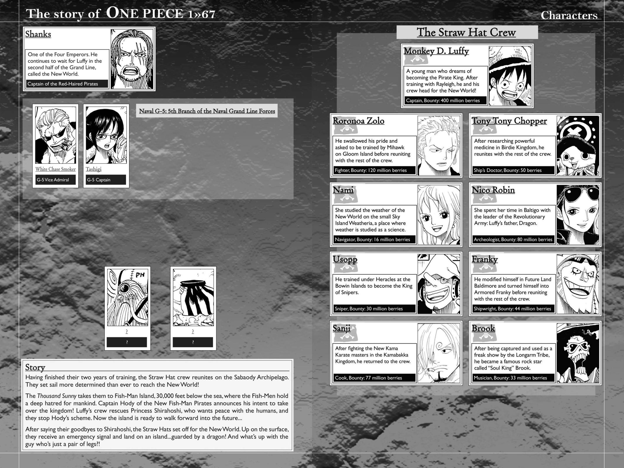 One Piece Chapter 657 - Page 5