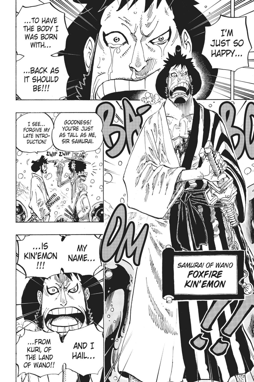 One Piece Chapter 672 - Page 14