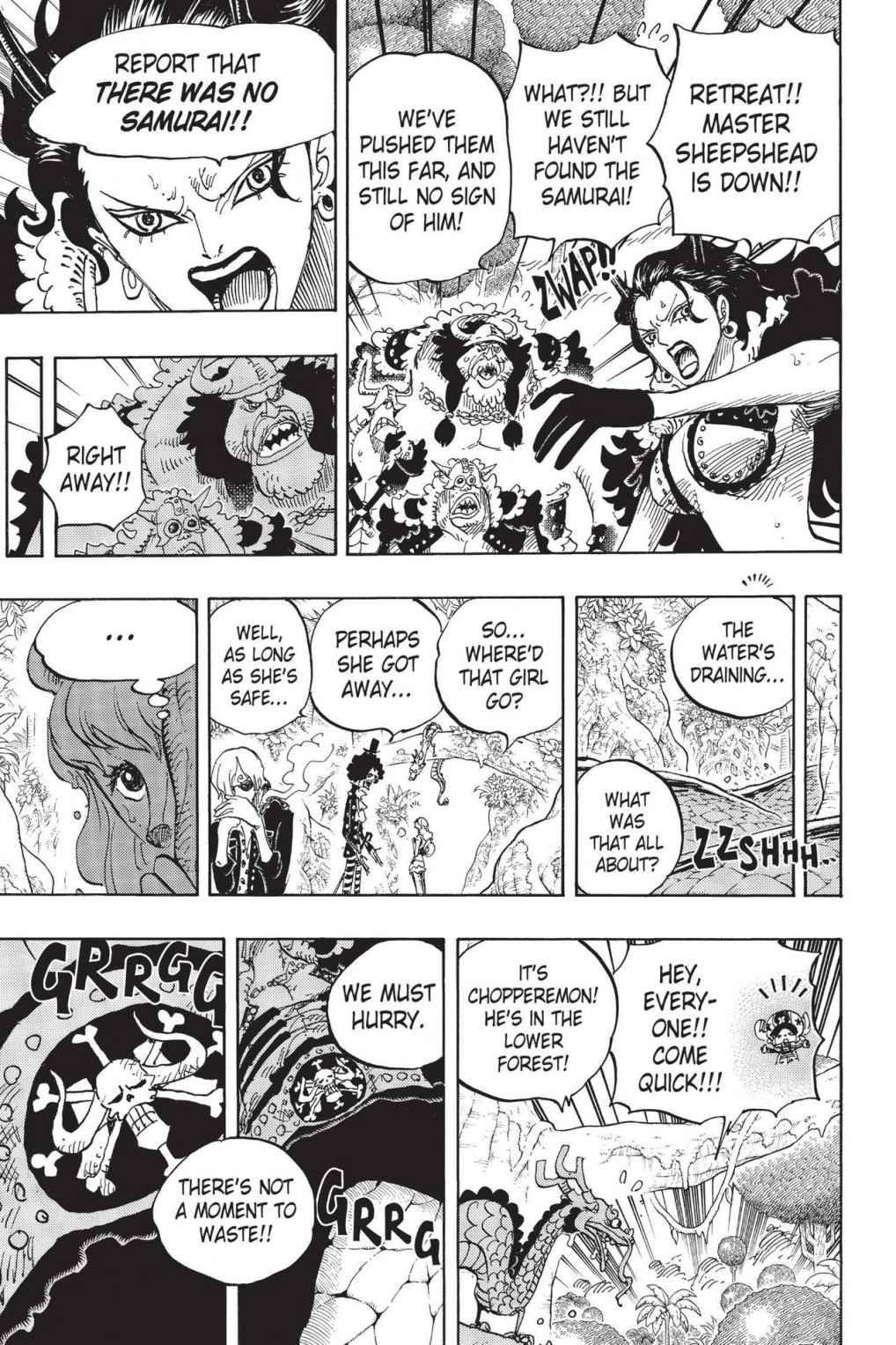 One Piece Chapter 795 - Page 9