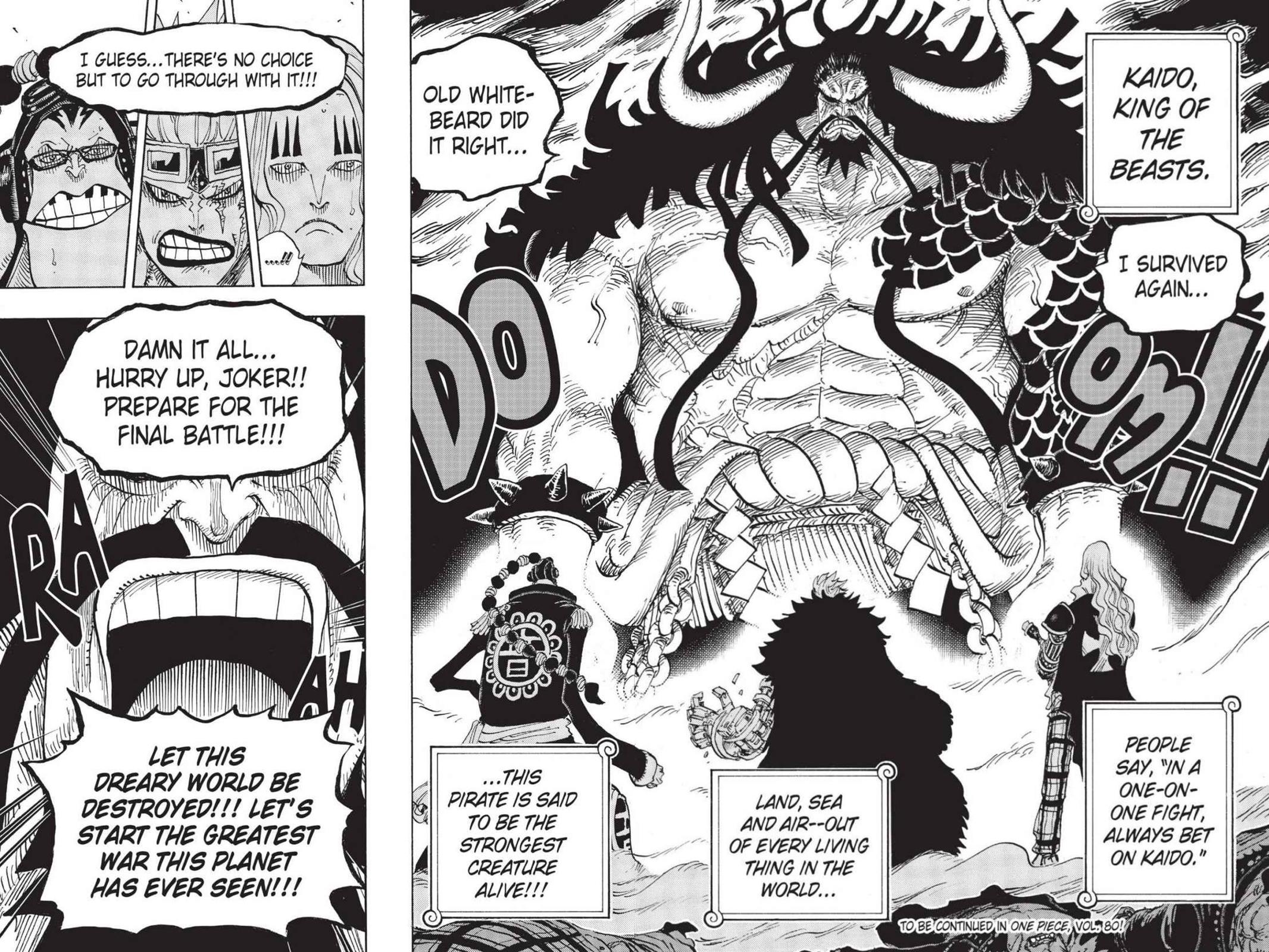 One Piece Chapter 795 - Page 16