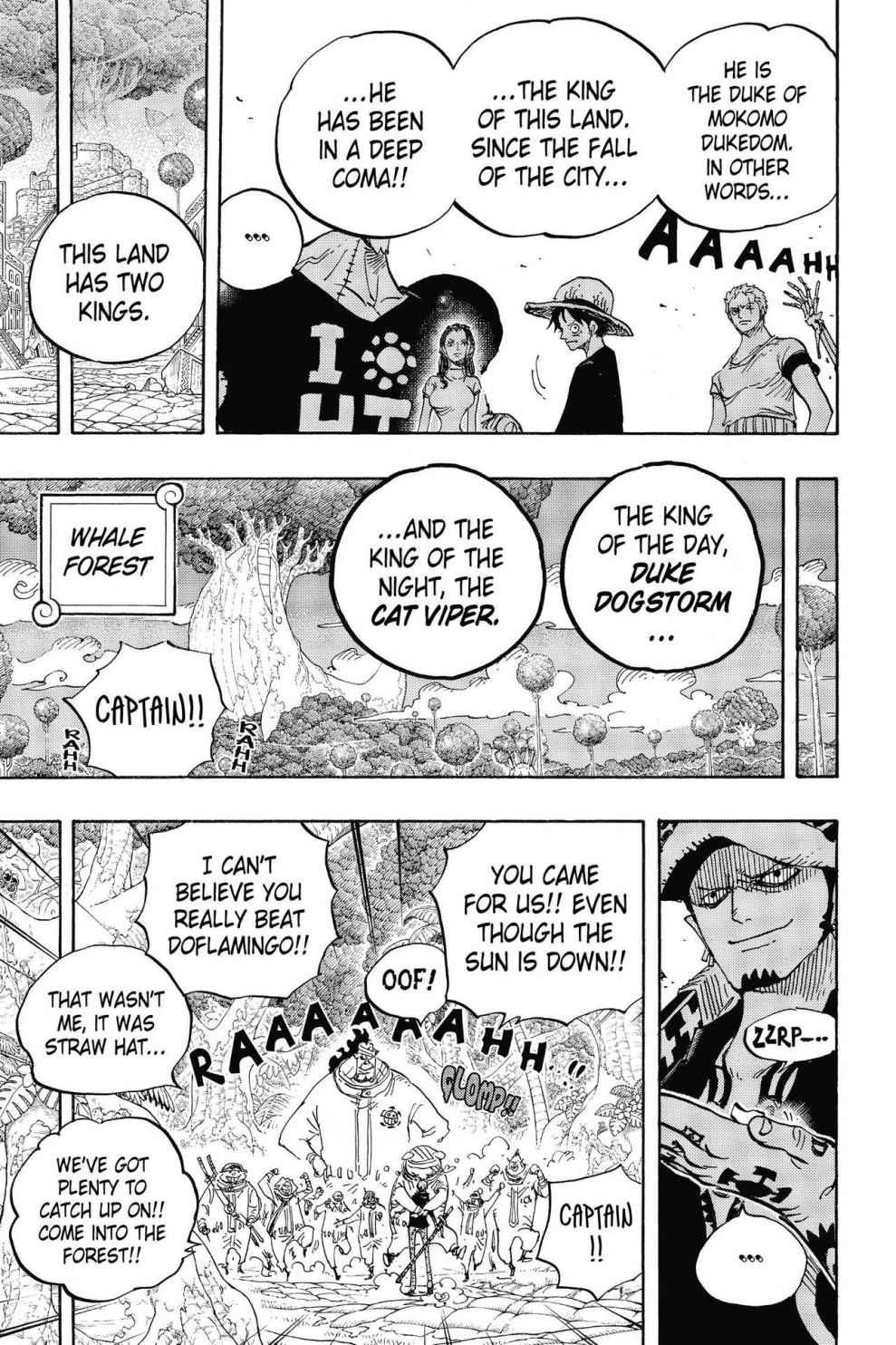 One Piece Chapter 807 - Page 20